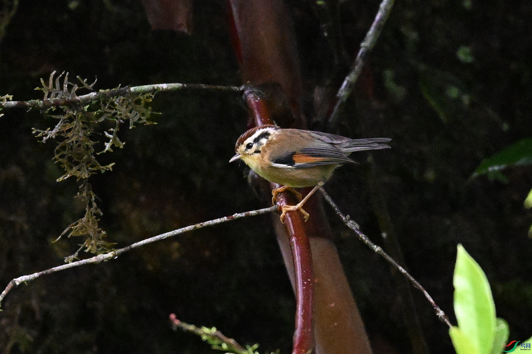 DSC_0307.JPG