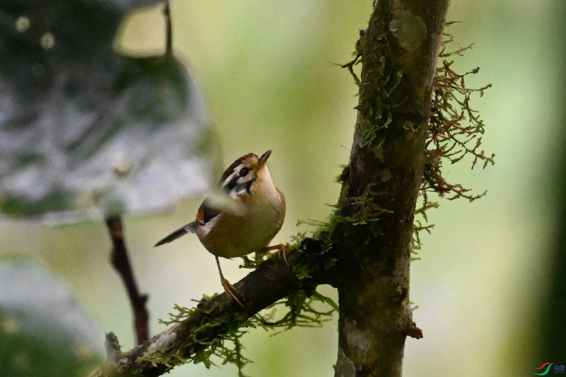 DSC_0314.JPG