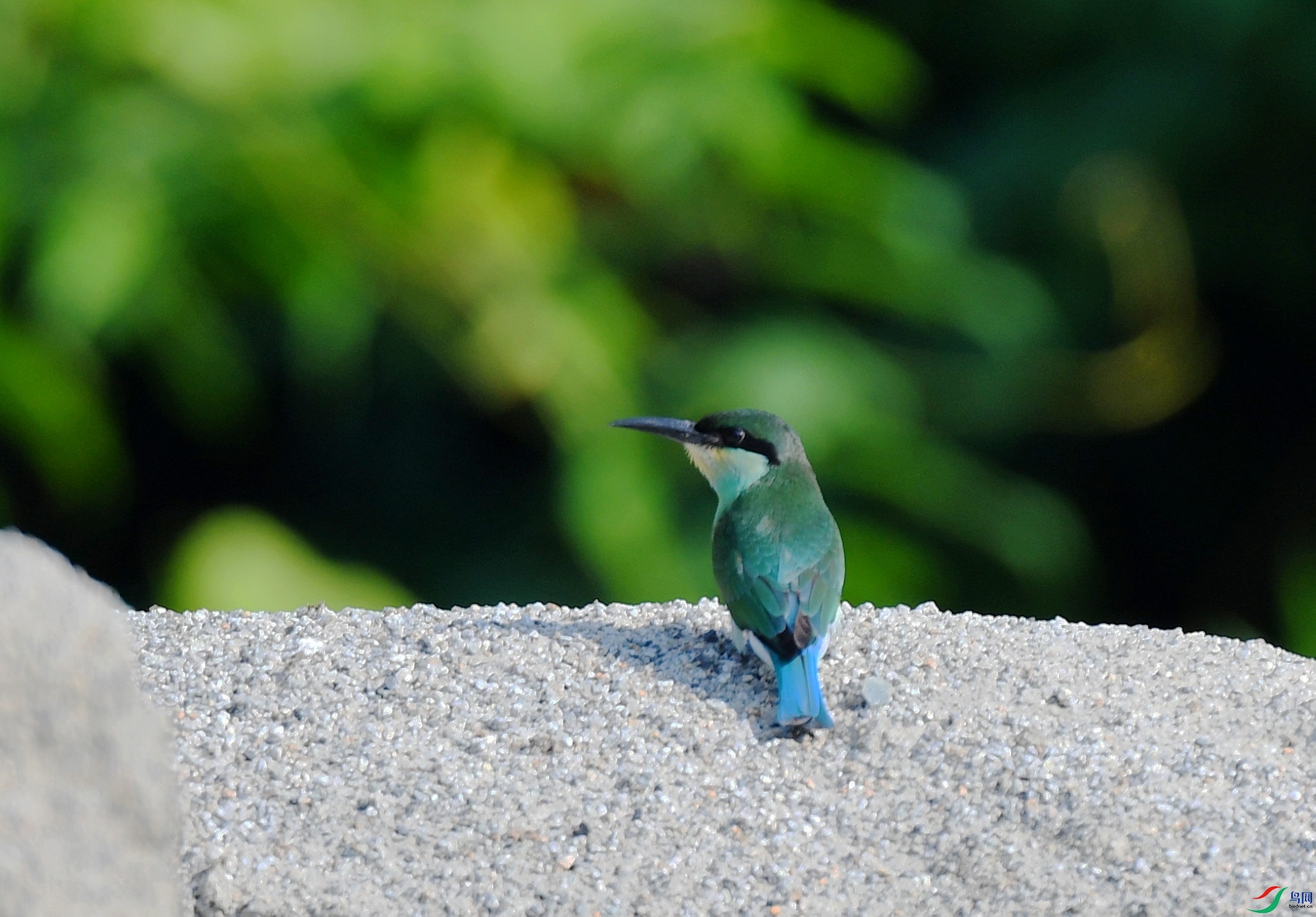 DSC_3038.jpg