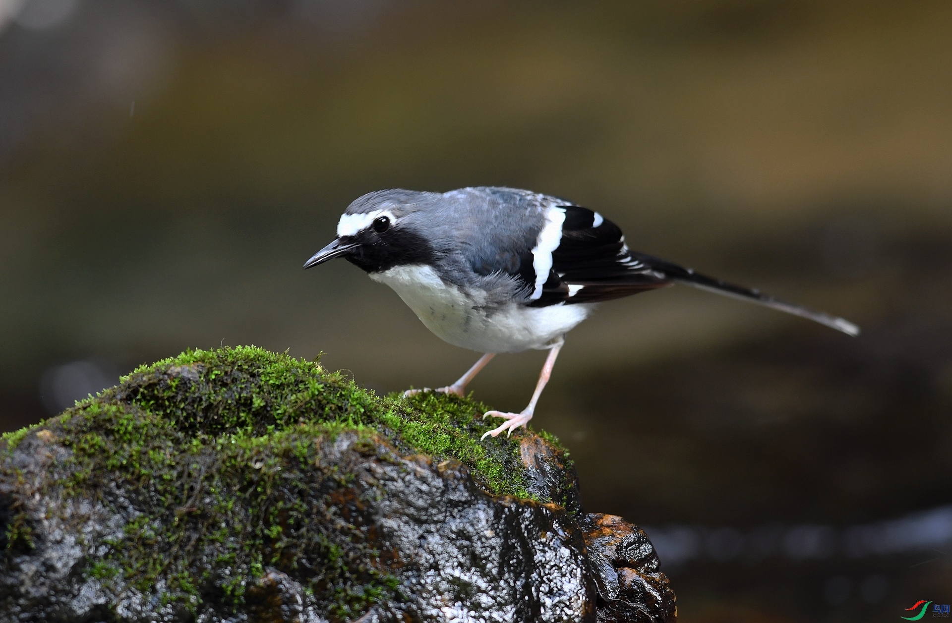 DSC_3722.jpg