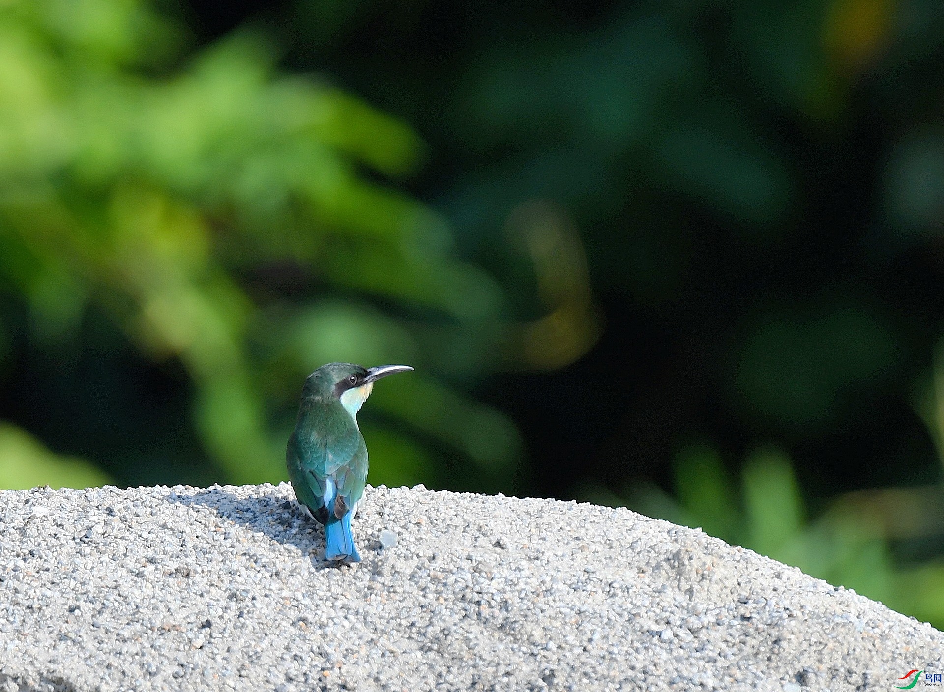 DSC_3040.jpg
