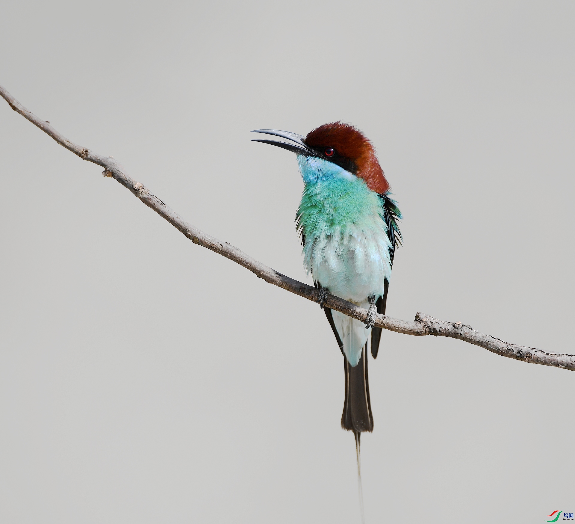 DSC_5189.jpg