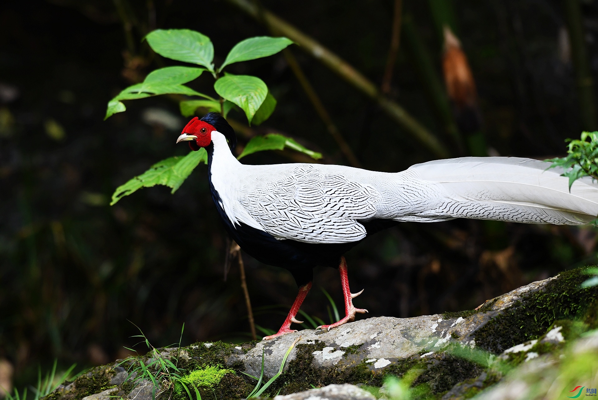 DSC_3453.jpg