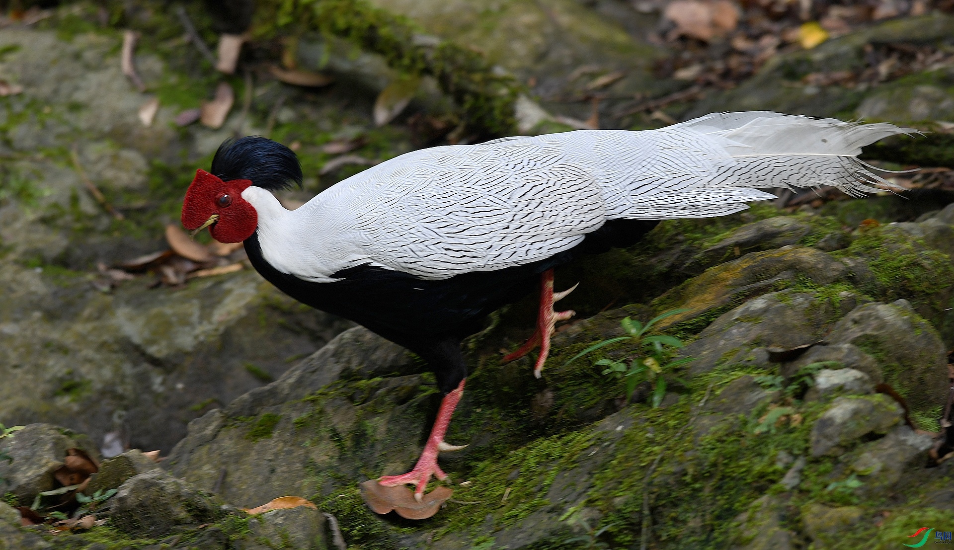 DSC_3841.jpg