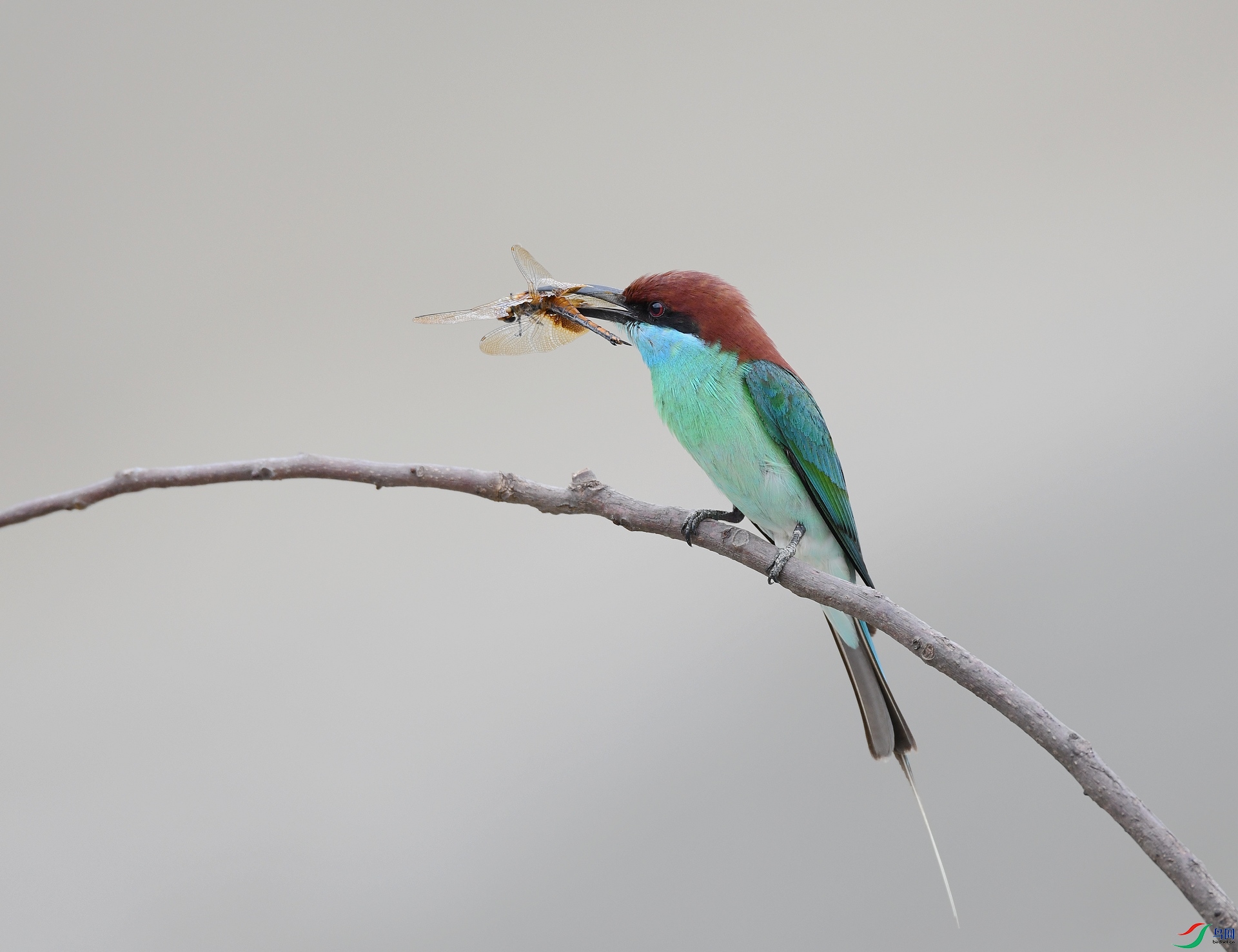 DSC_3915.jpg