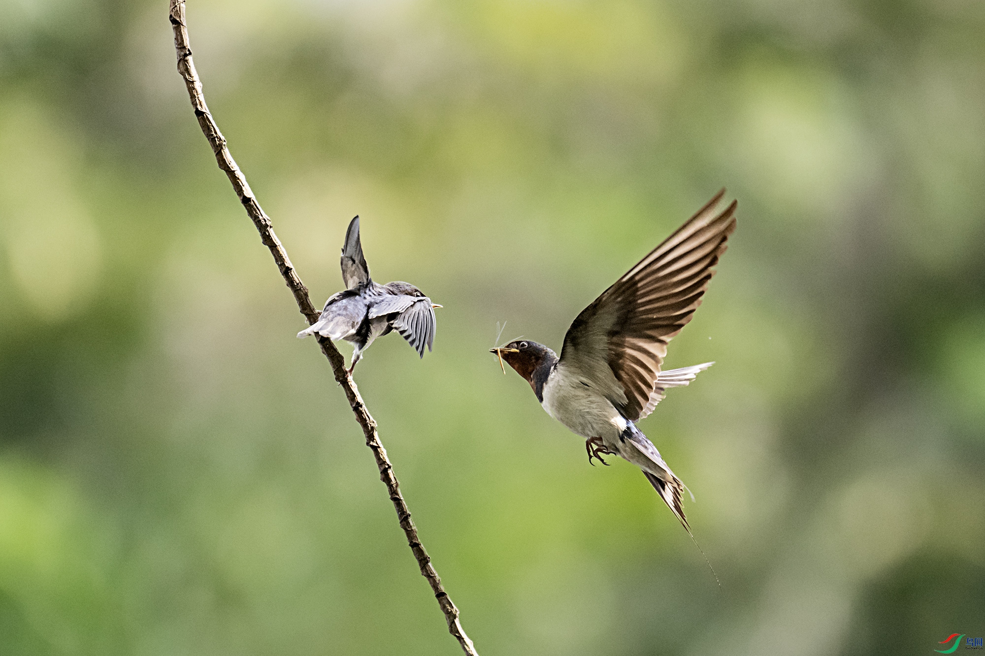 DSC_4477.jpg