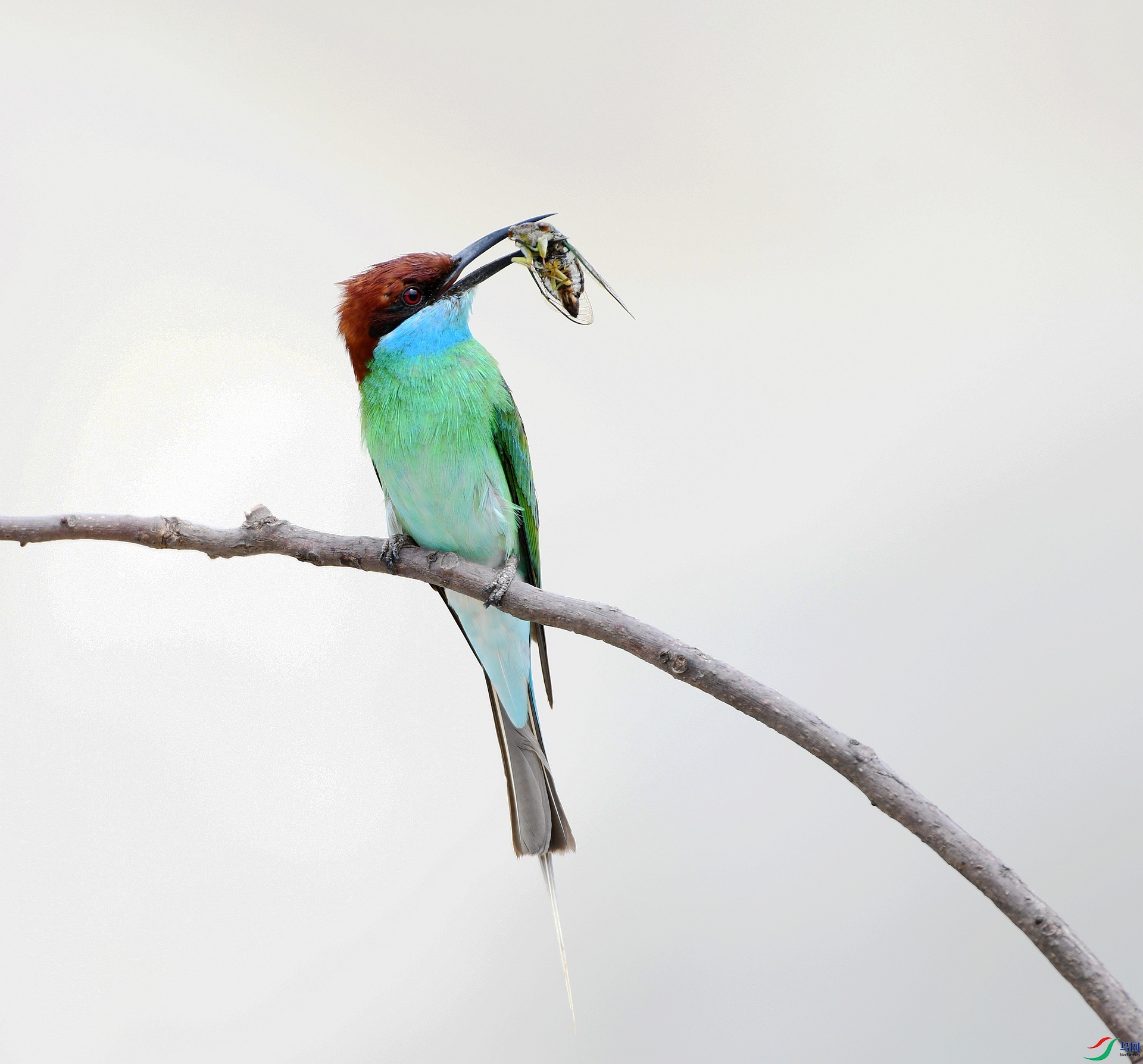 DSC_1415.jpg