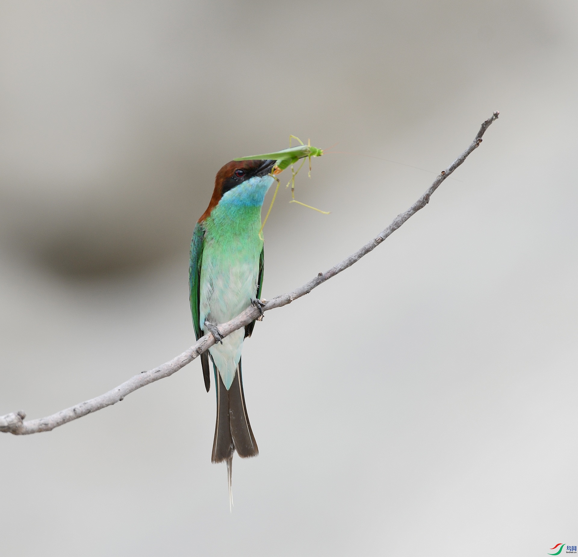 DSC_0957.jpg