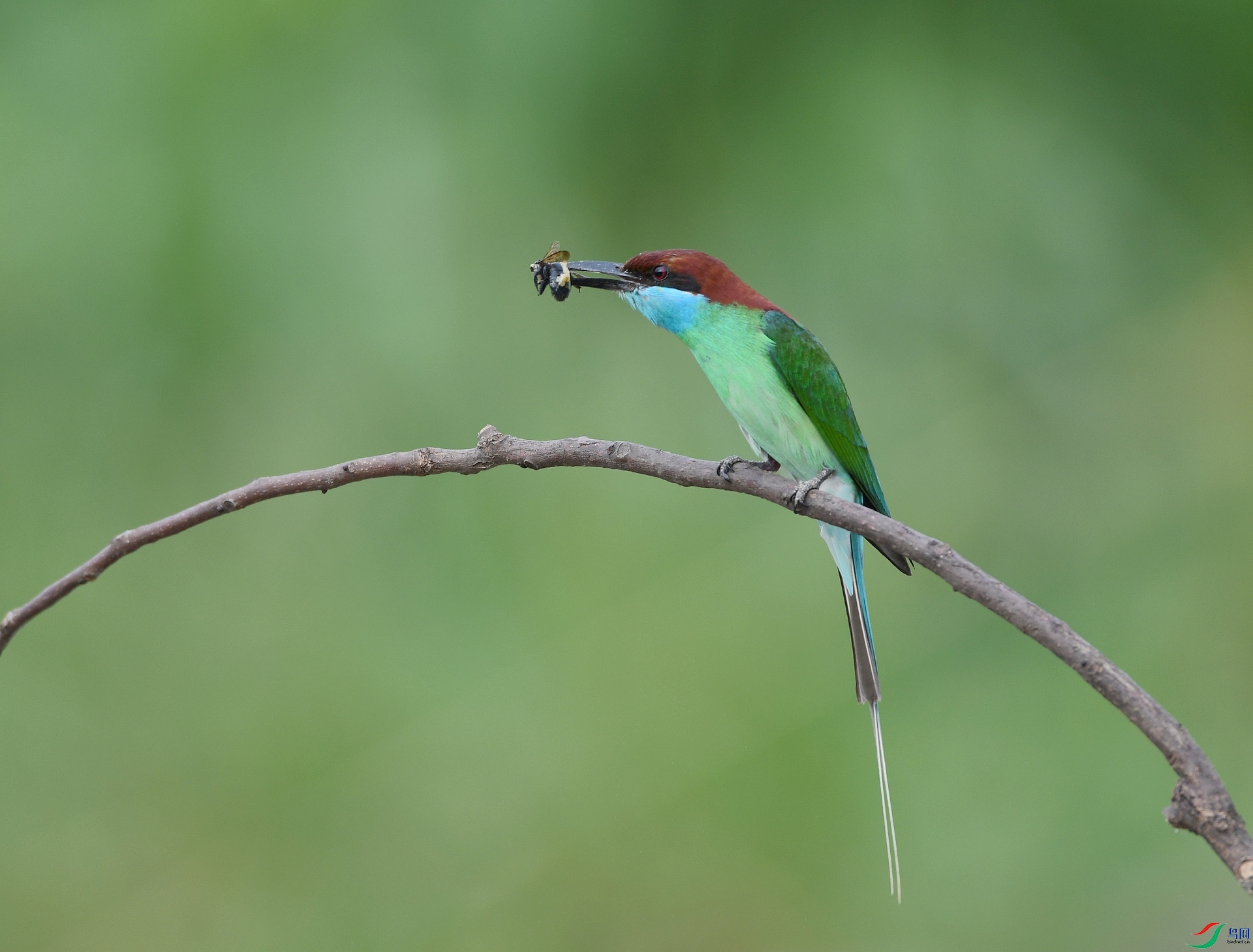 DSC_1082.jpg