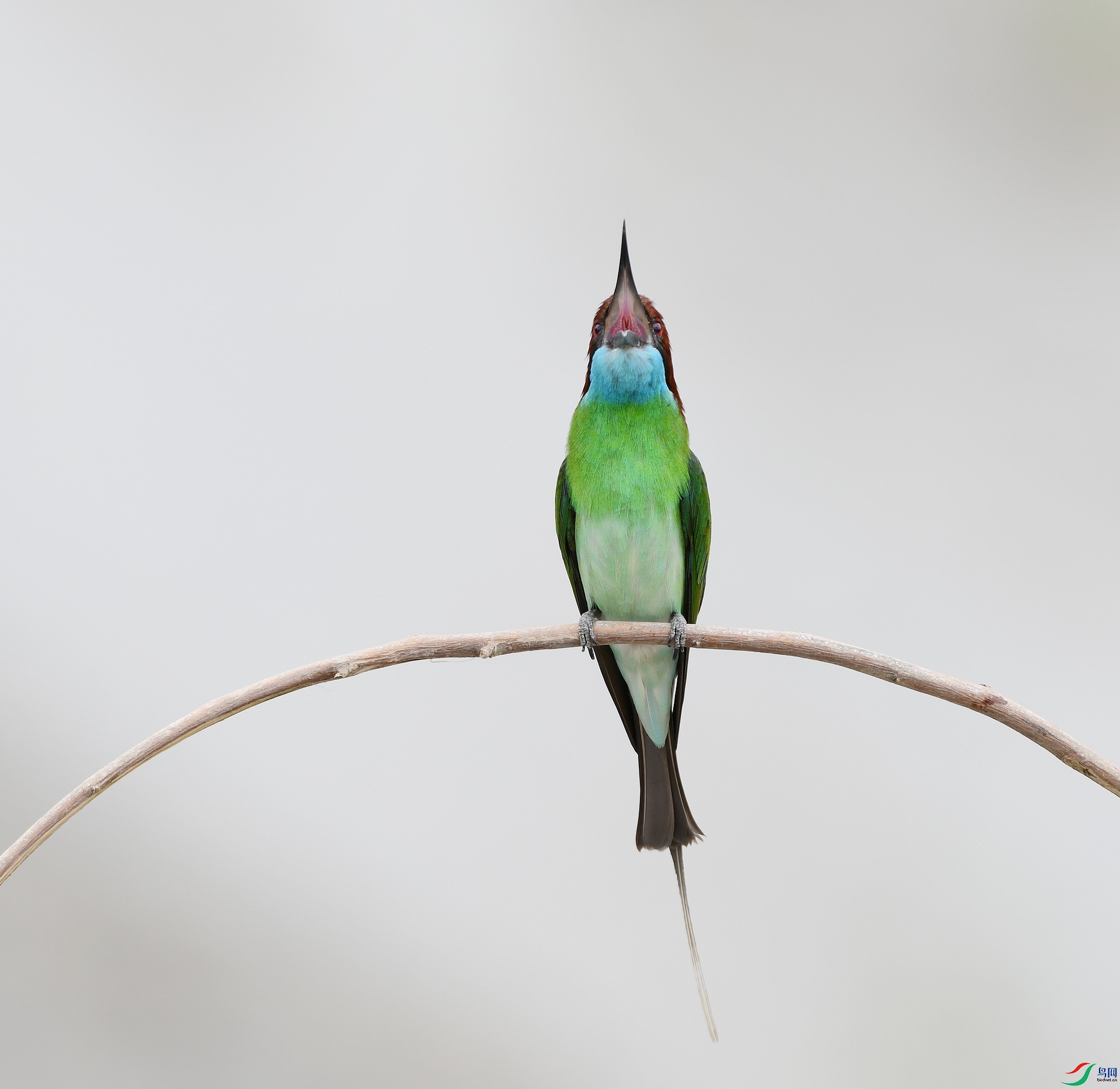 DSC_3952.jpg