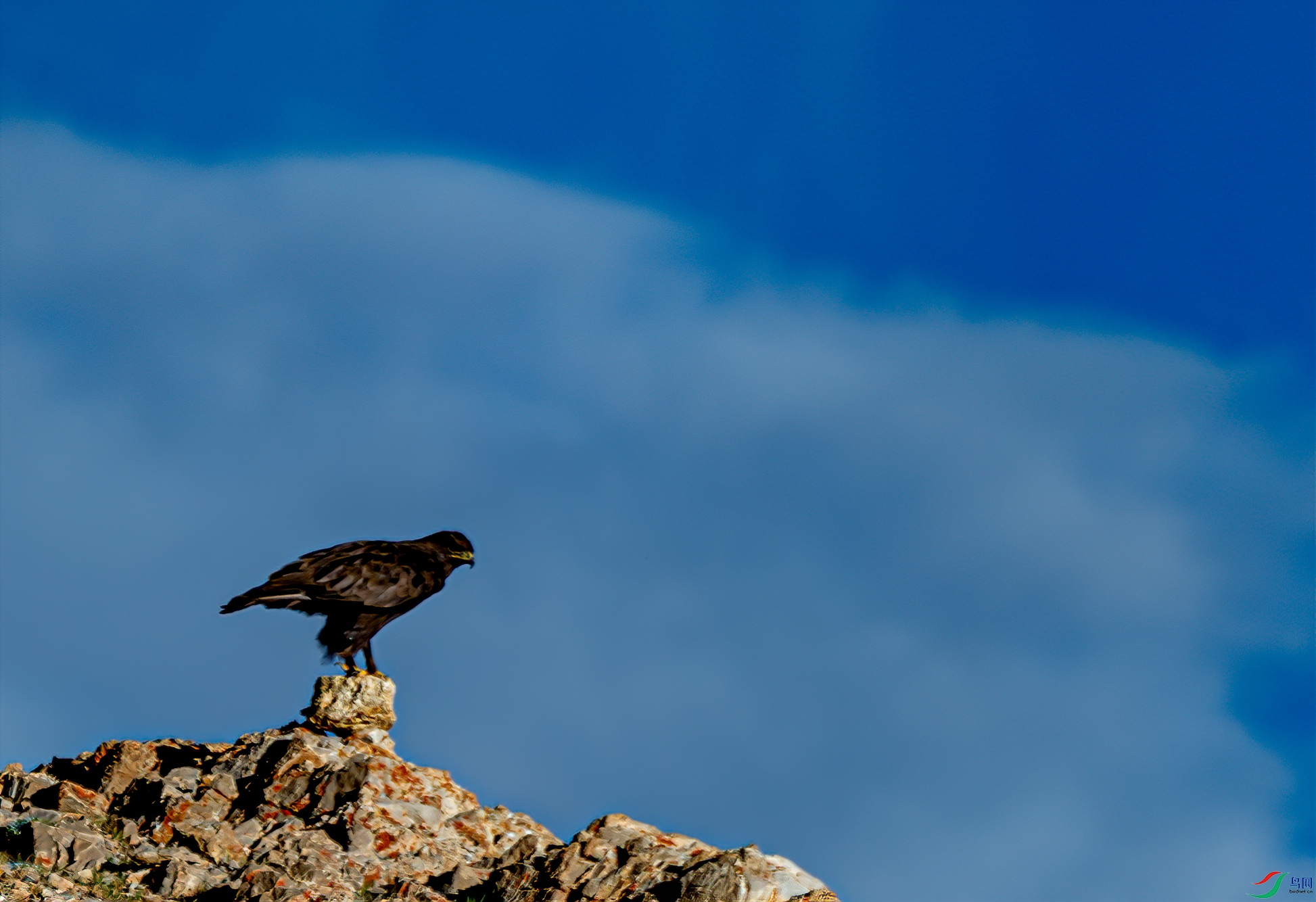 _DSC9621-1.jpg