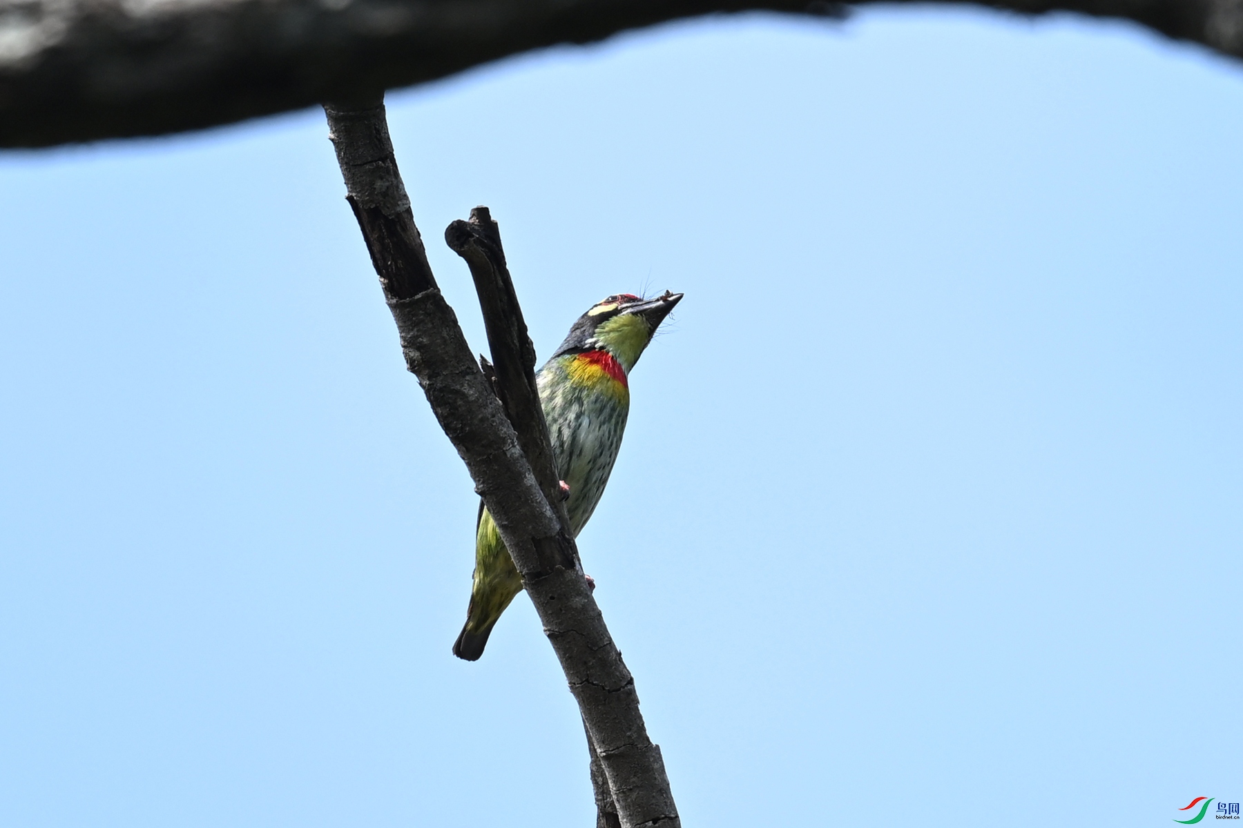 DSC_5860.JPG