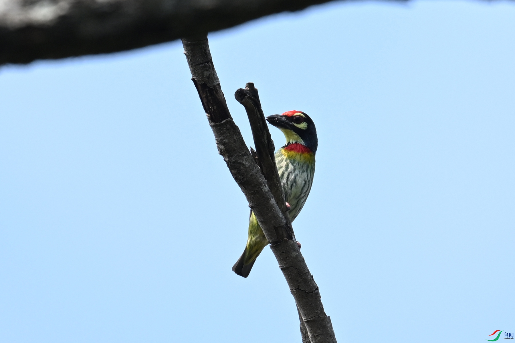 DSC_5850.JPG