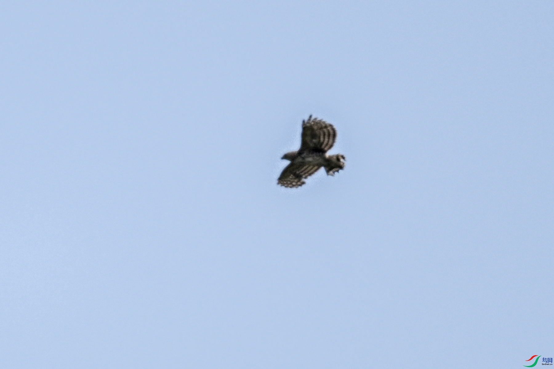 DSC_5881.JPG