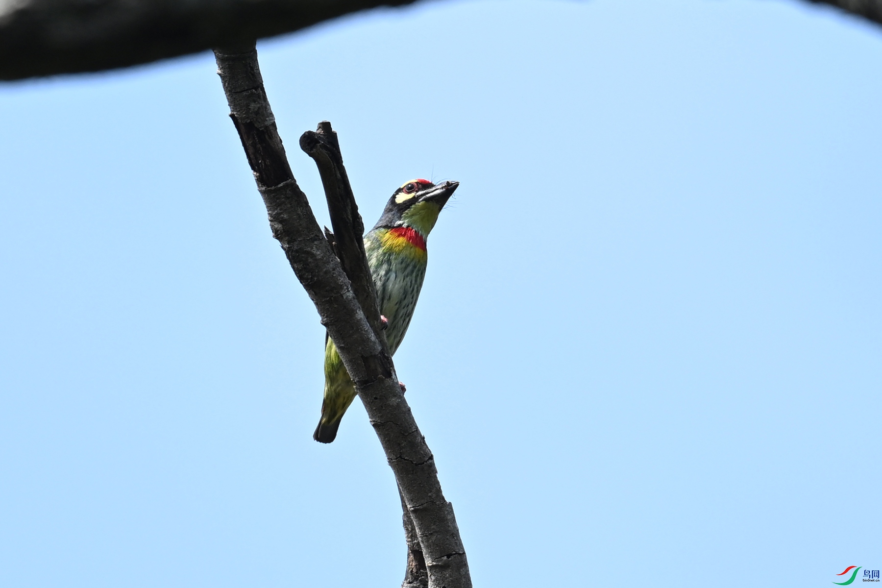 DSC_5858.JPG