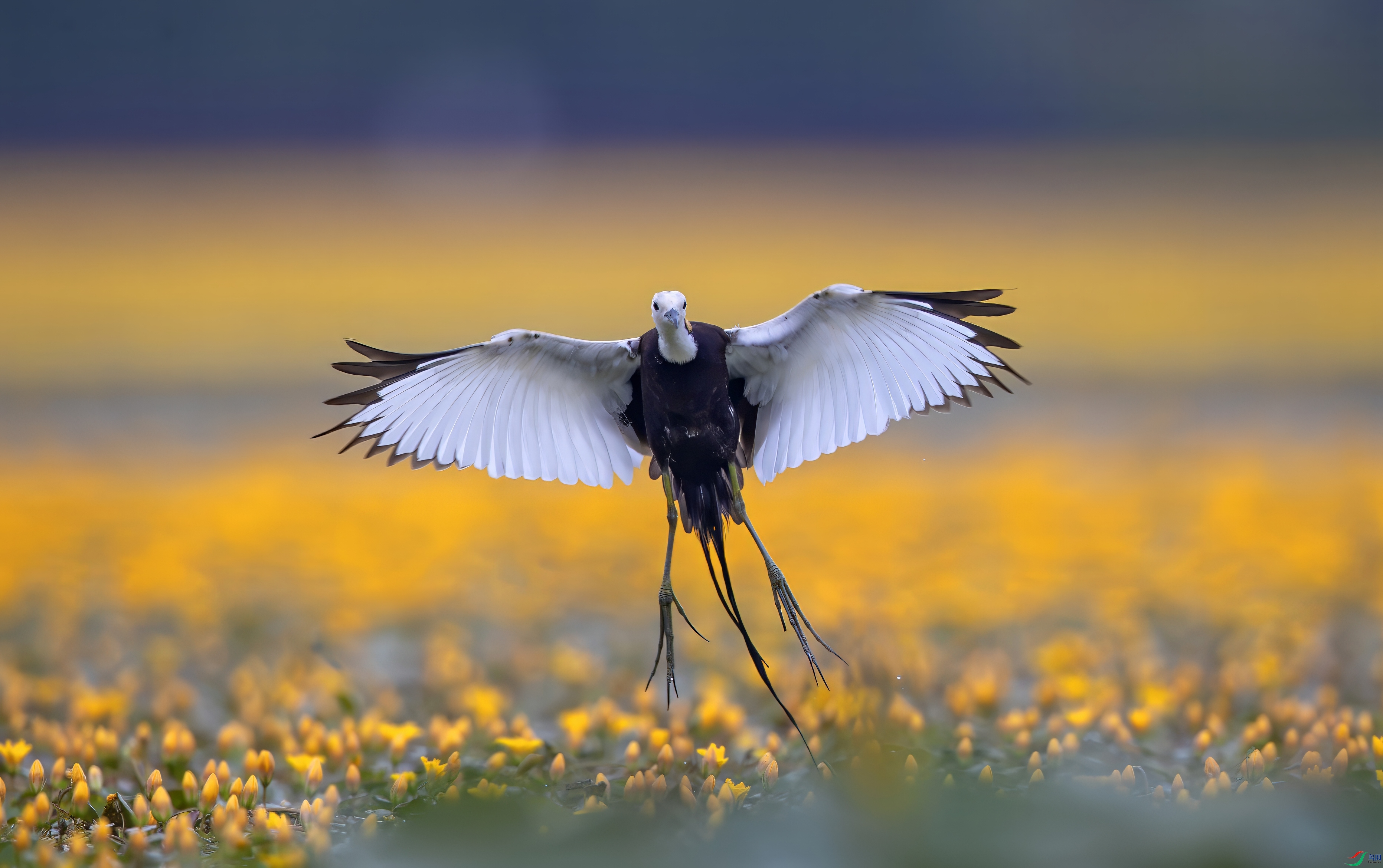 A06I1037-topaz-denoise.jpeg