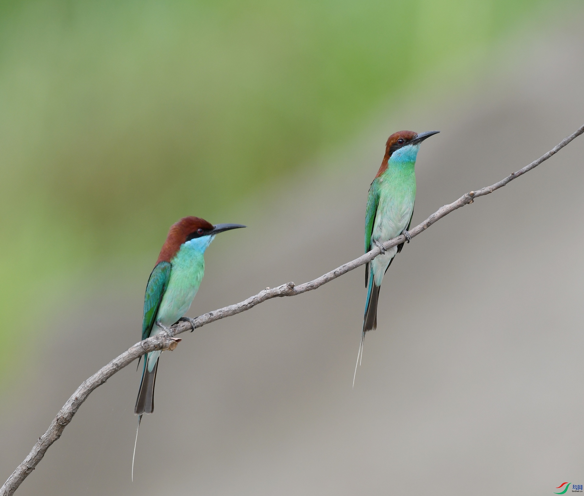 DSC_2609.jpg