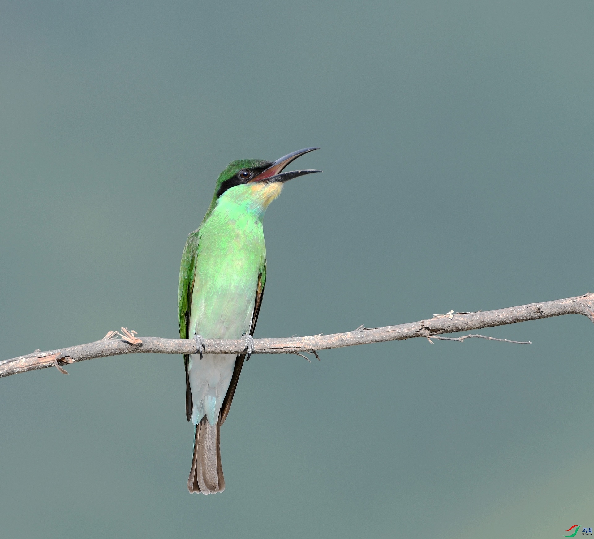 DSC_3605.jpg