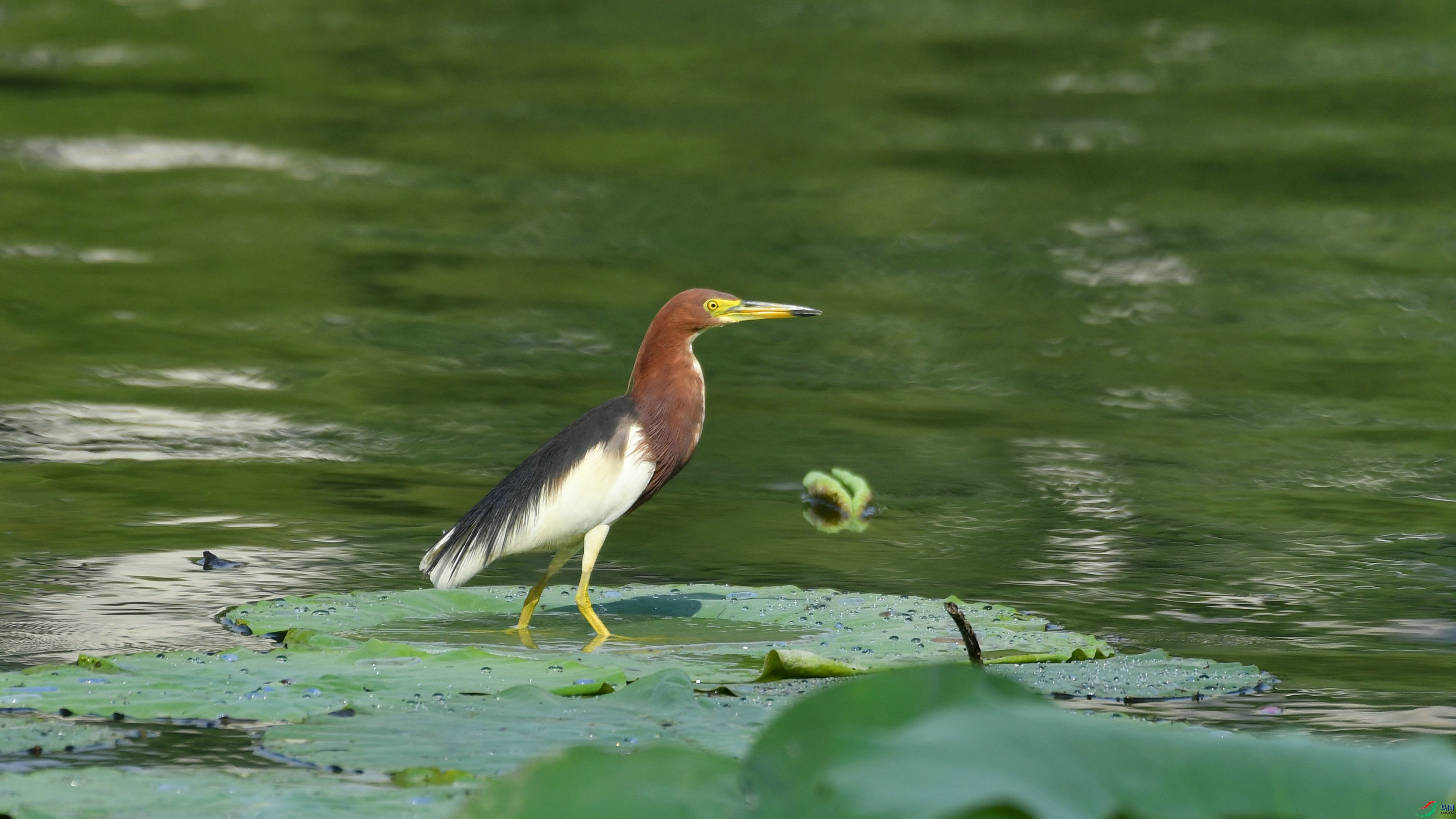 DSC_3034.JPG