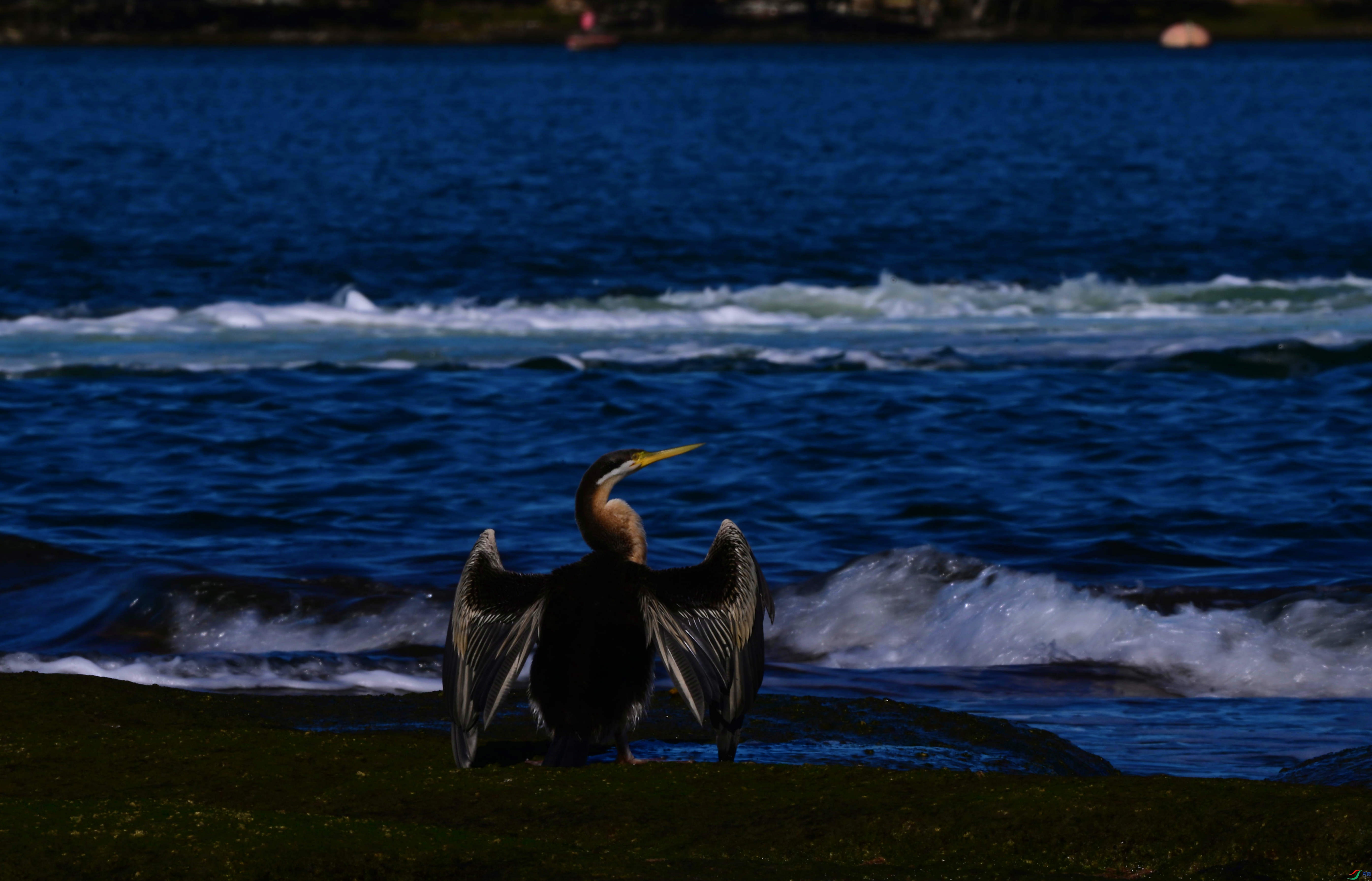 DSC_5341_��ͼ��_����.jpg