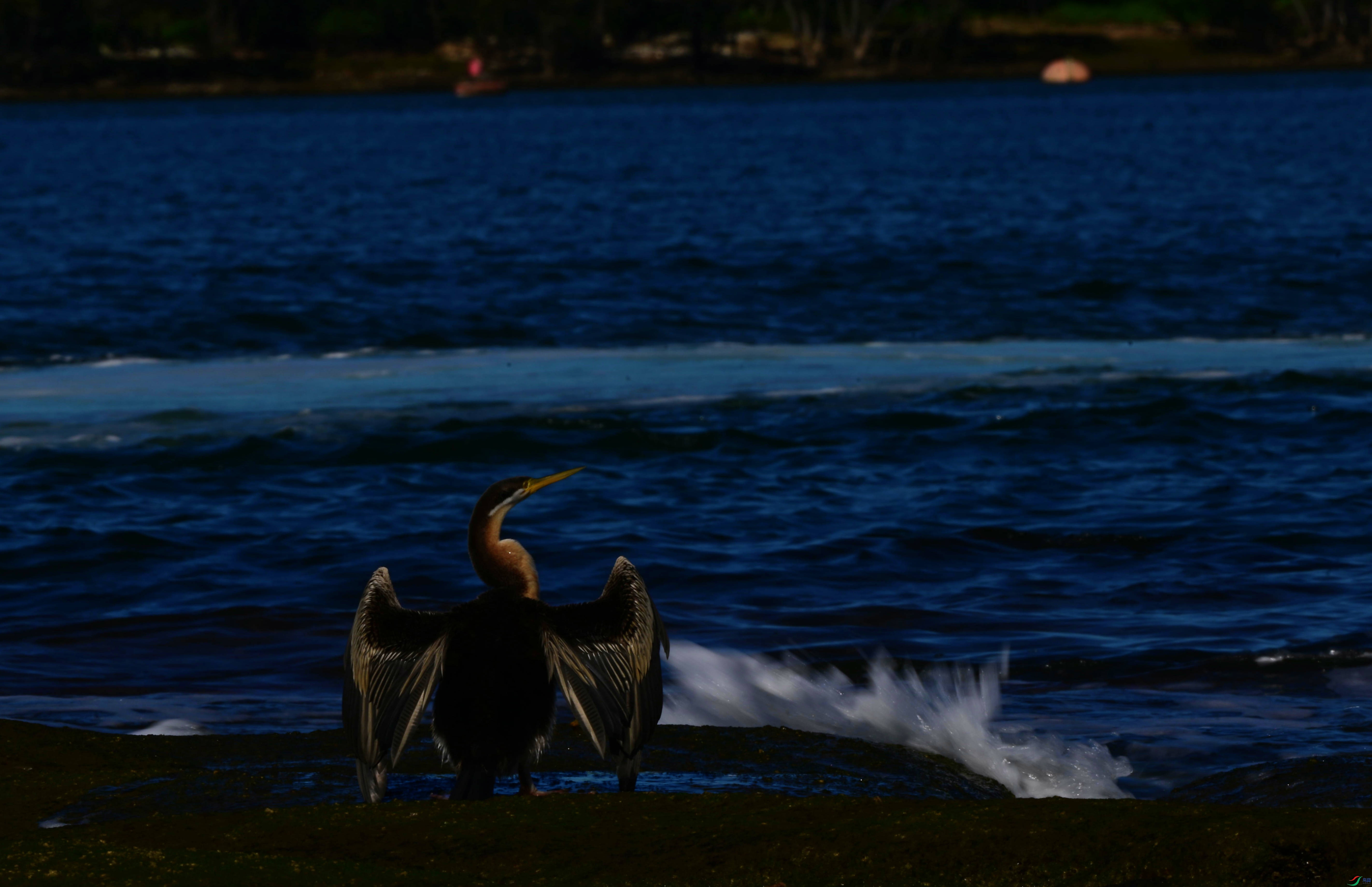 DSC_5352_��ͼ��_����.jpg