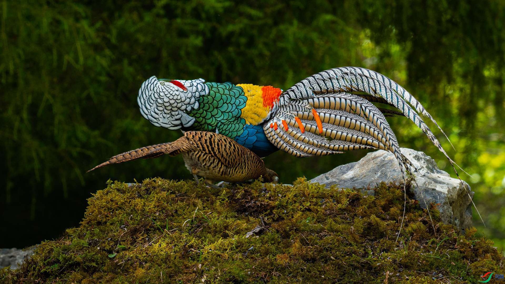 DSC_7507.jpg