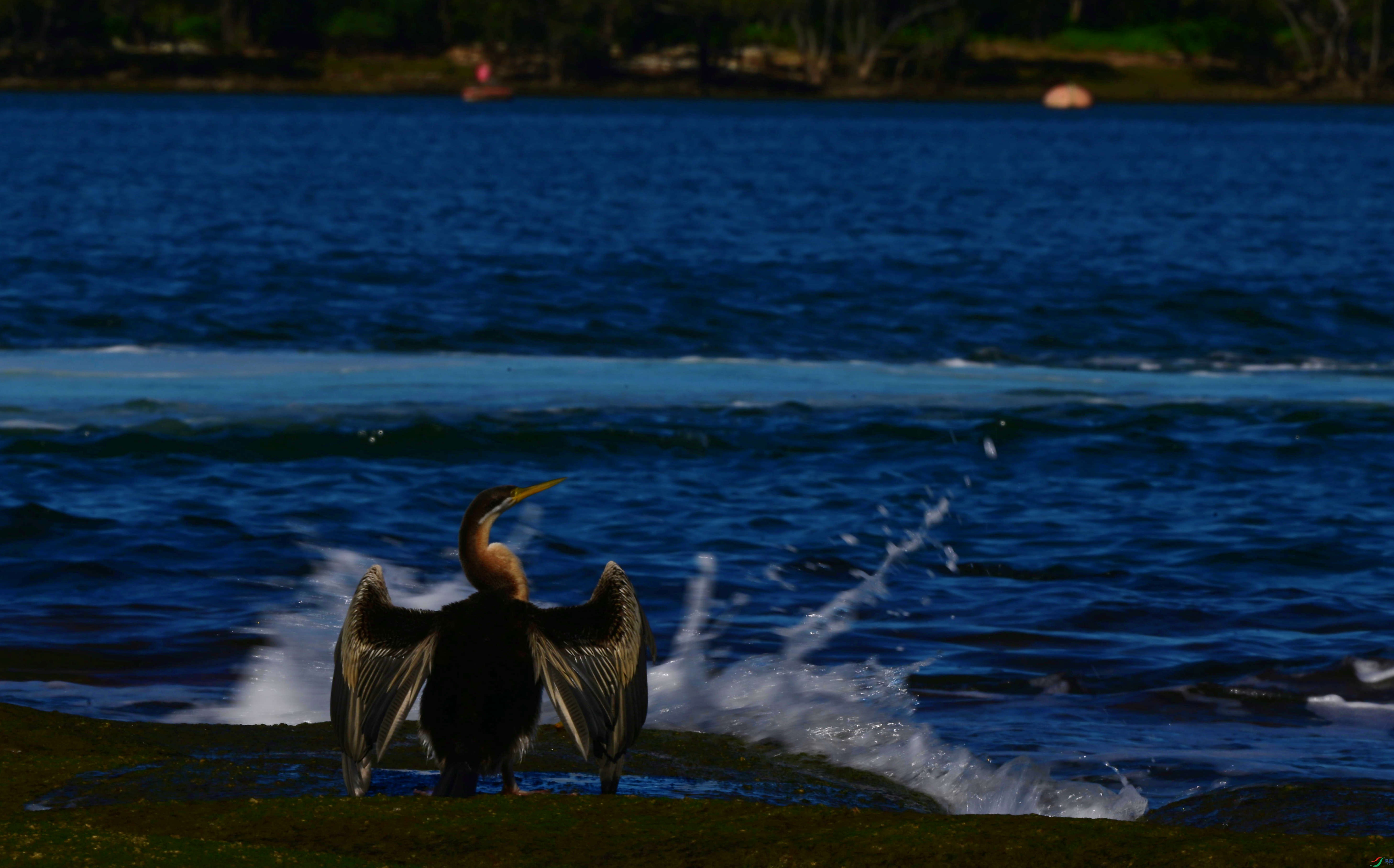 DSC_5354_��ͼ��_����.jpg