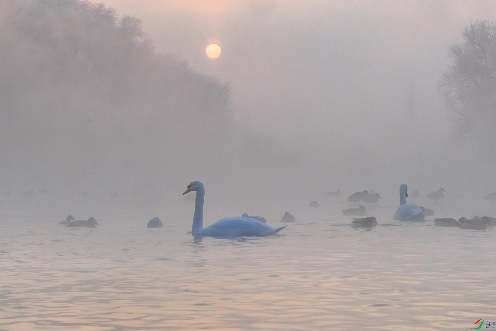 ������1M5A0733.jpg
