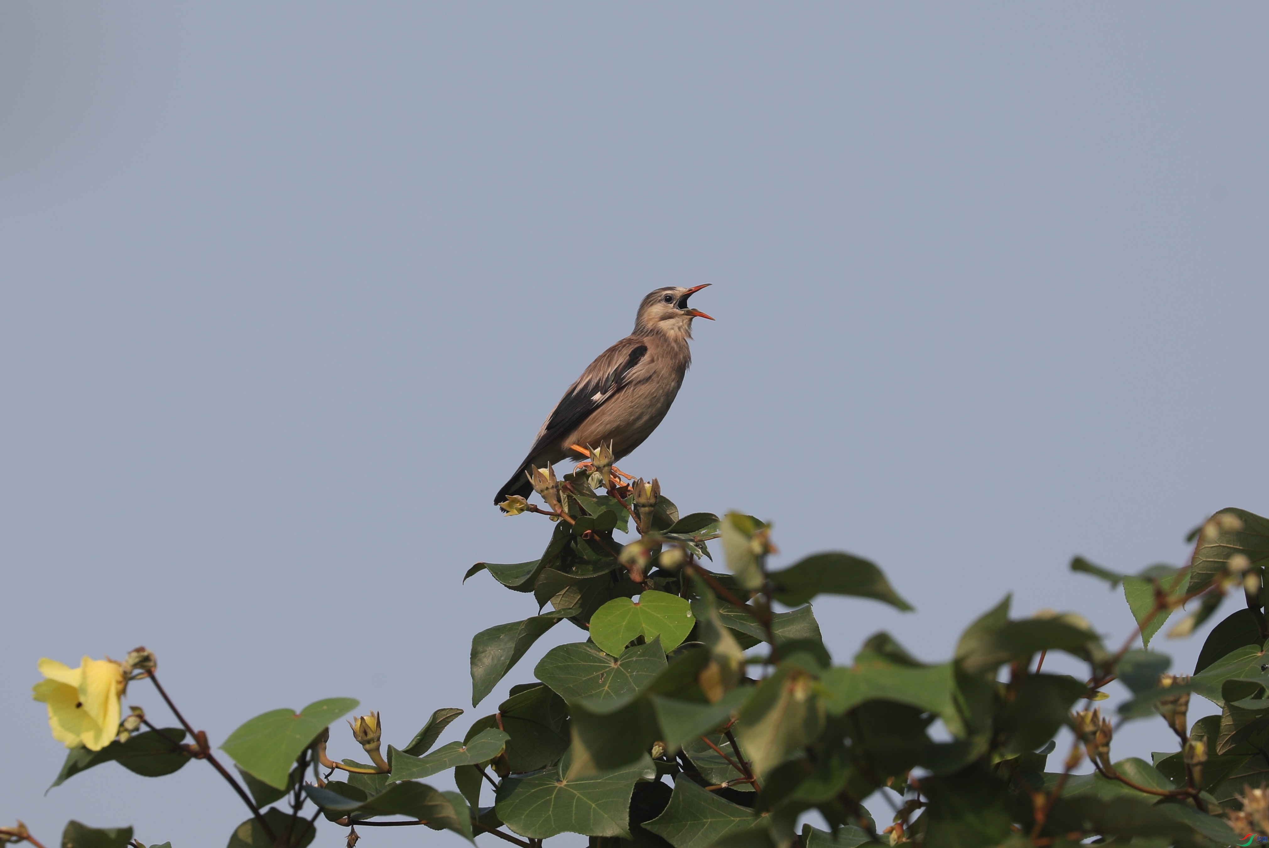 BL7A6898.JPG