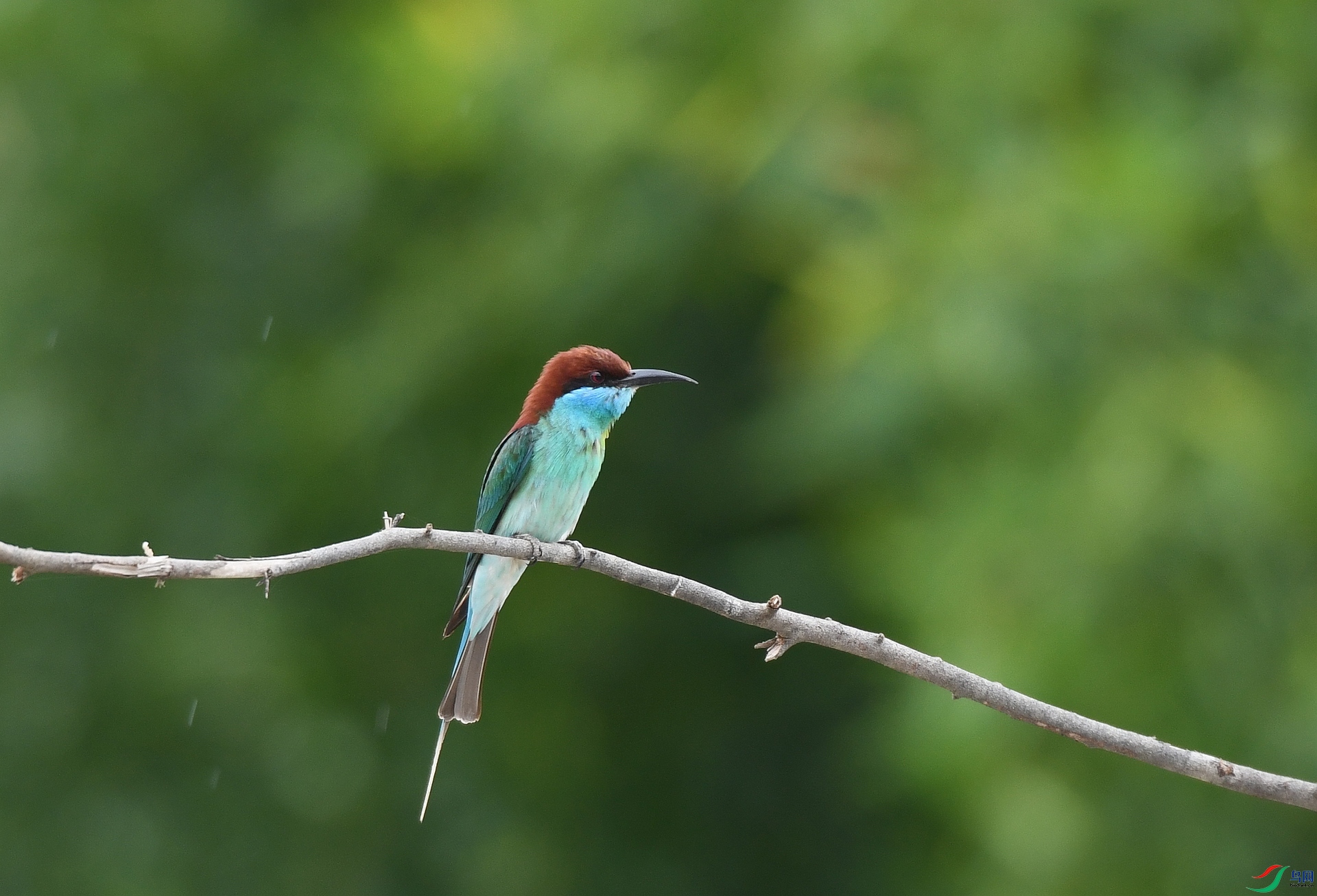 DSC_3713.jpg