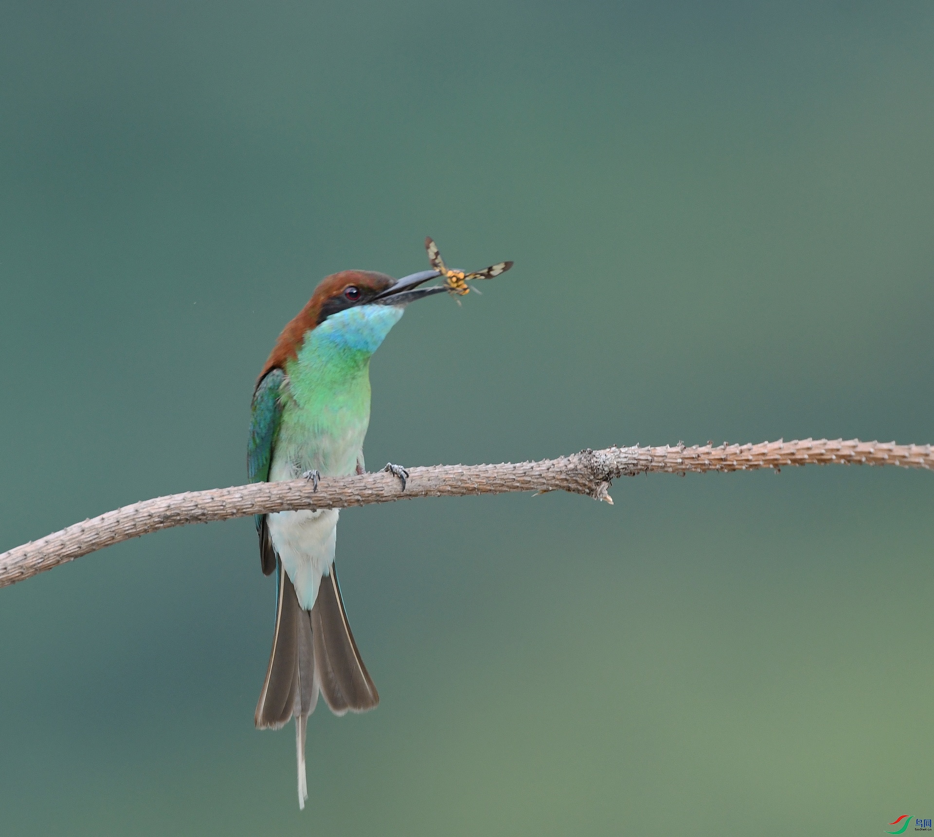 DSC_4724.jpg
