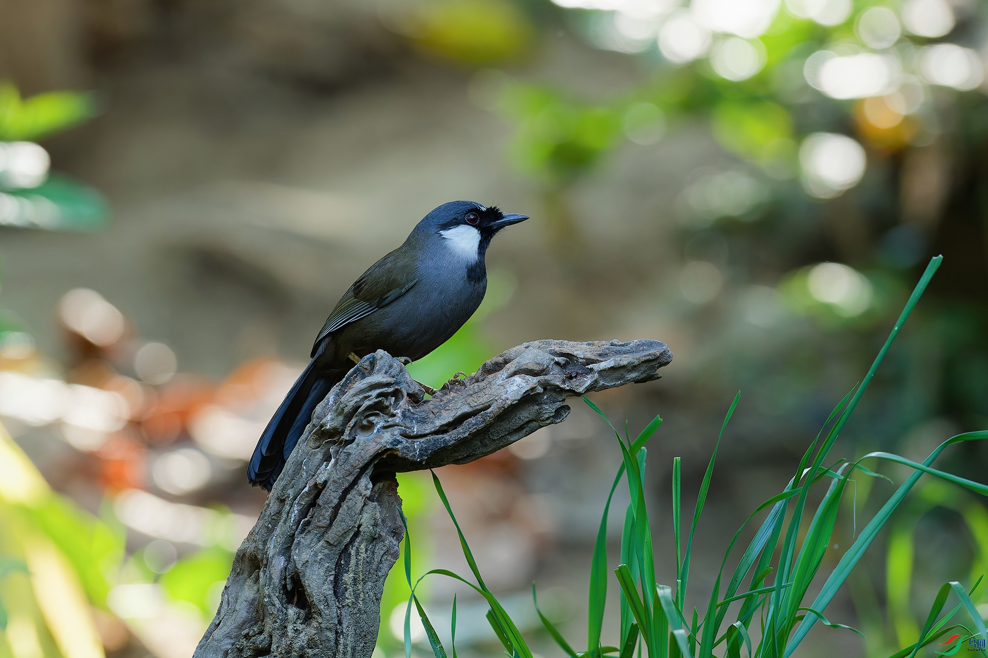 DSC_1271_DxO_DxO.jpga.jpg
