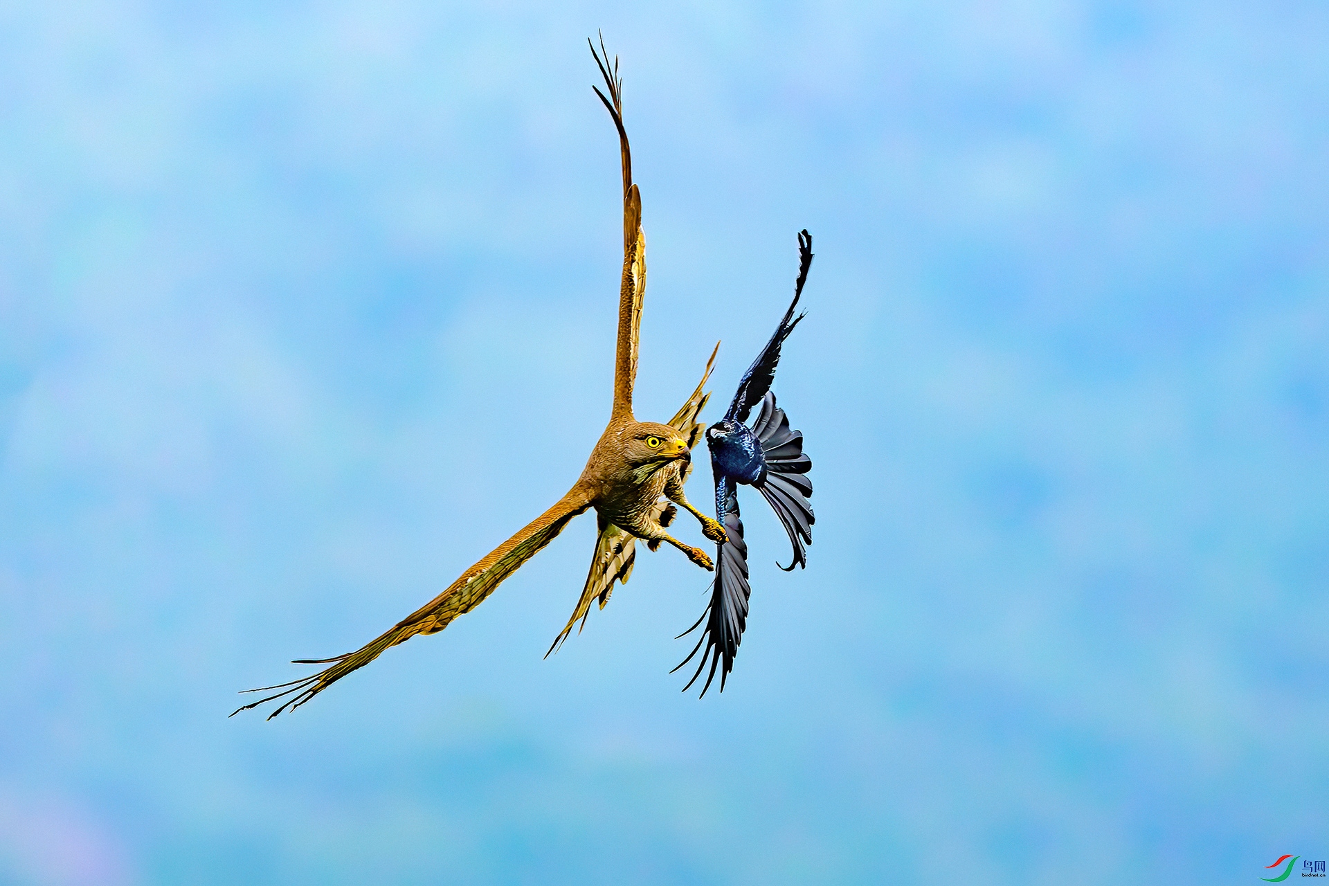 0D1A6659-8.jpg