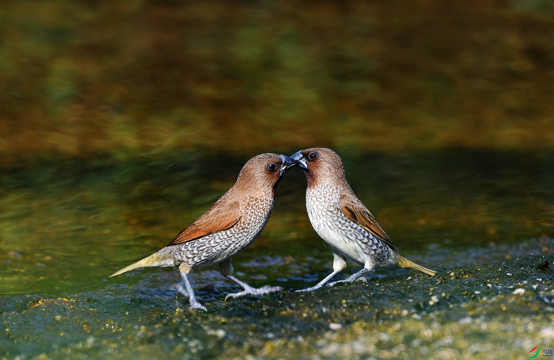 DSC_6491.jpg