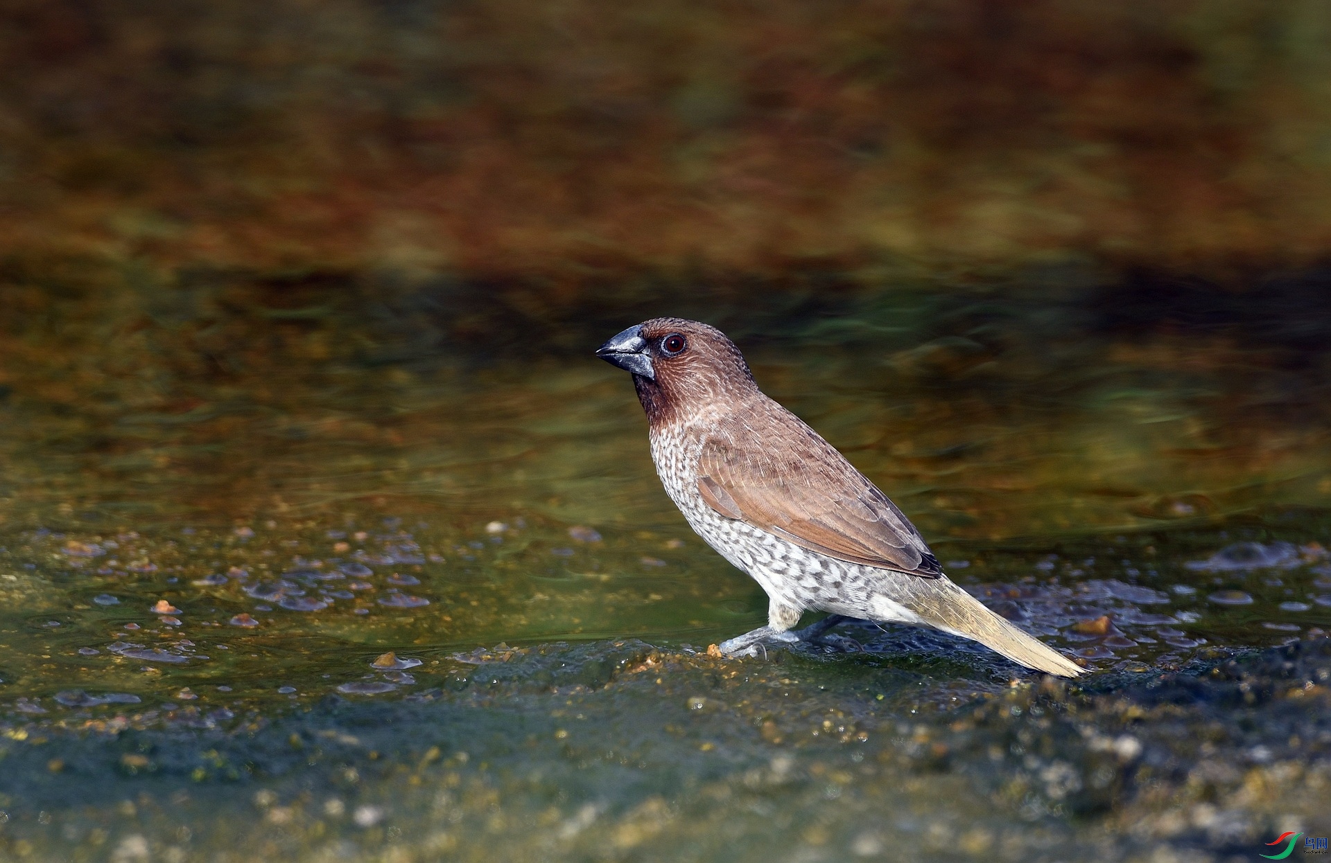 DSC_6504.jpg