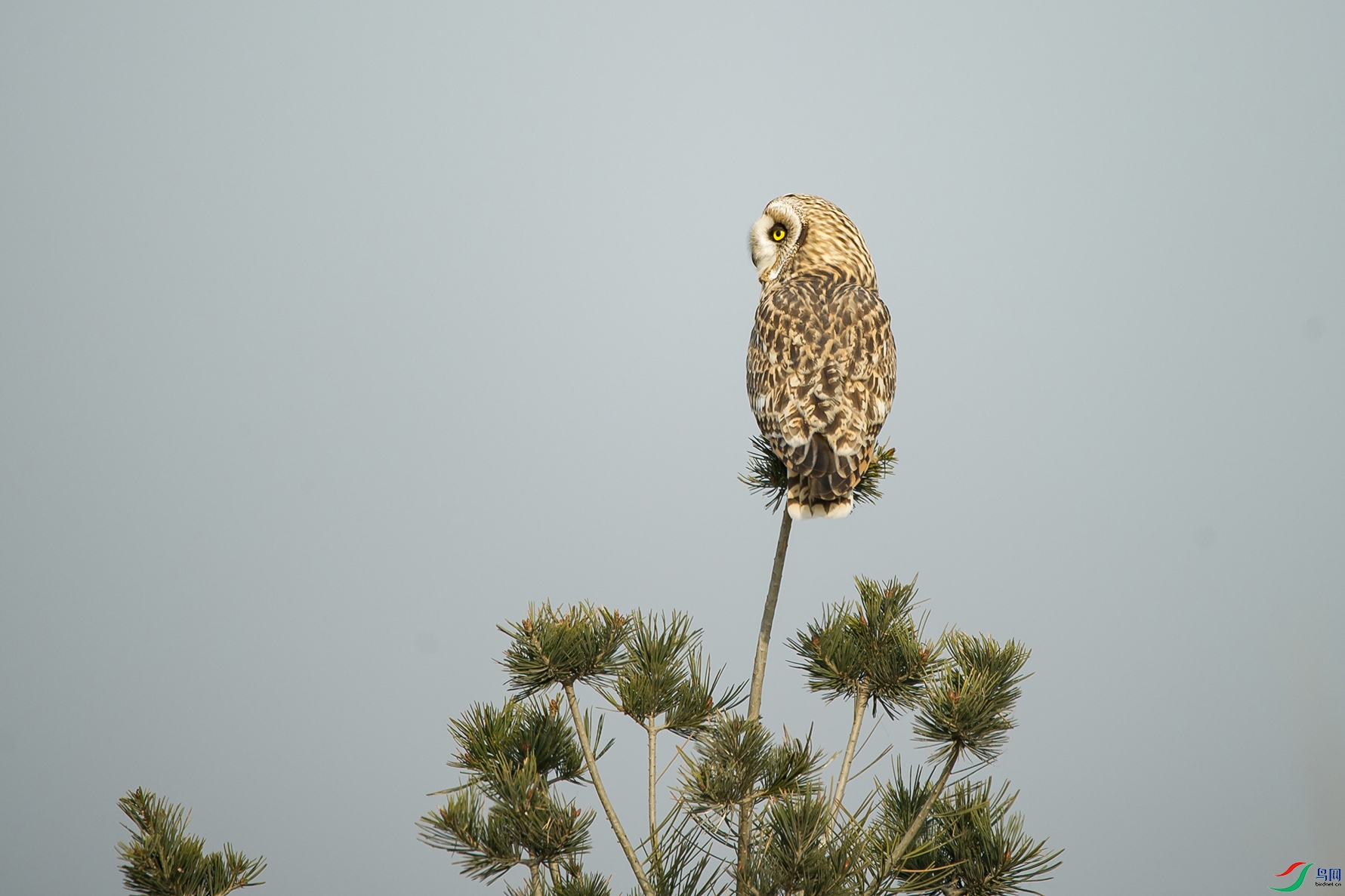 DSC_0215-20201206�ü�.jpg