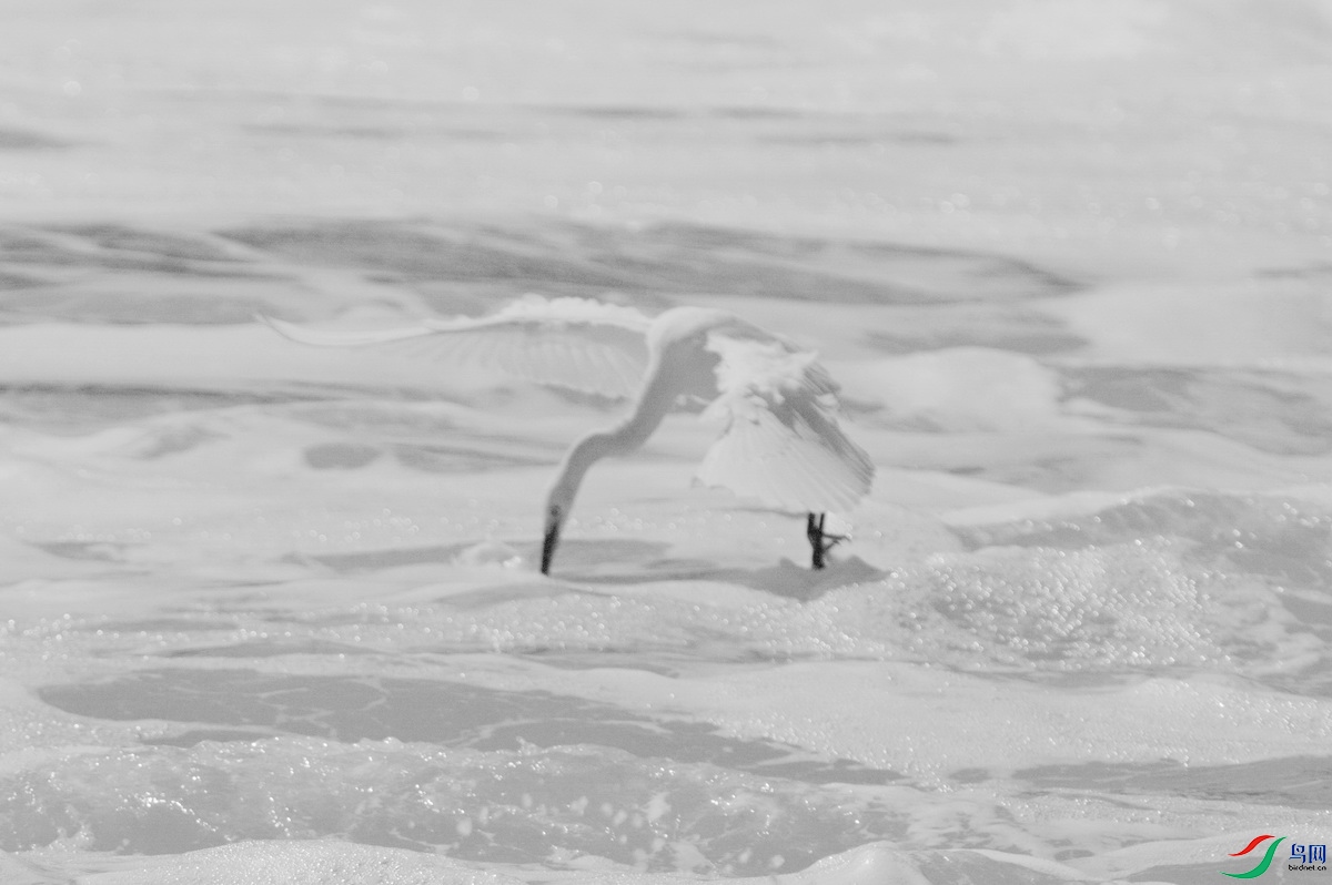 _DSC7425mn_������С.jpg