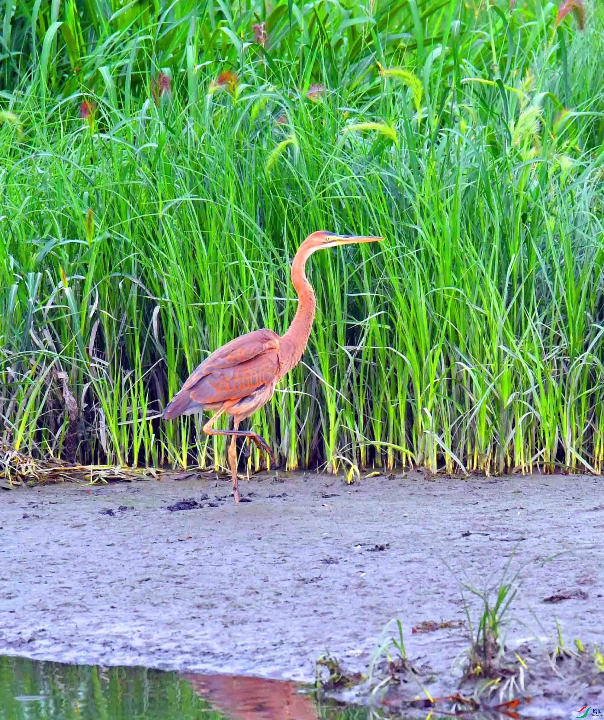 DSC_5524.JPG