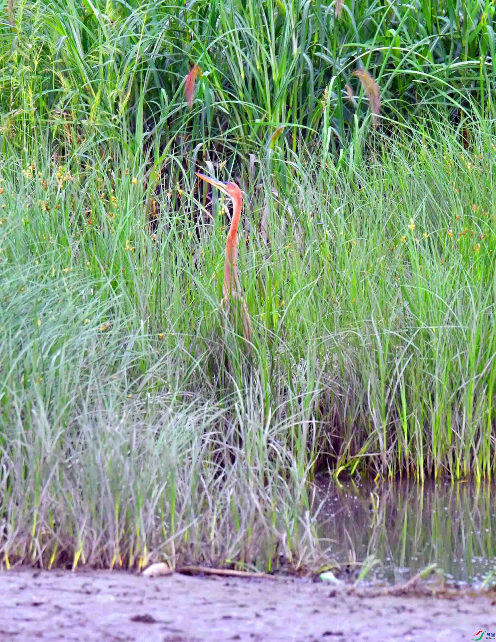DSC_5565.JPG