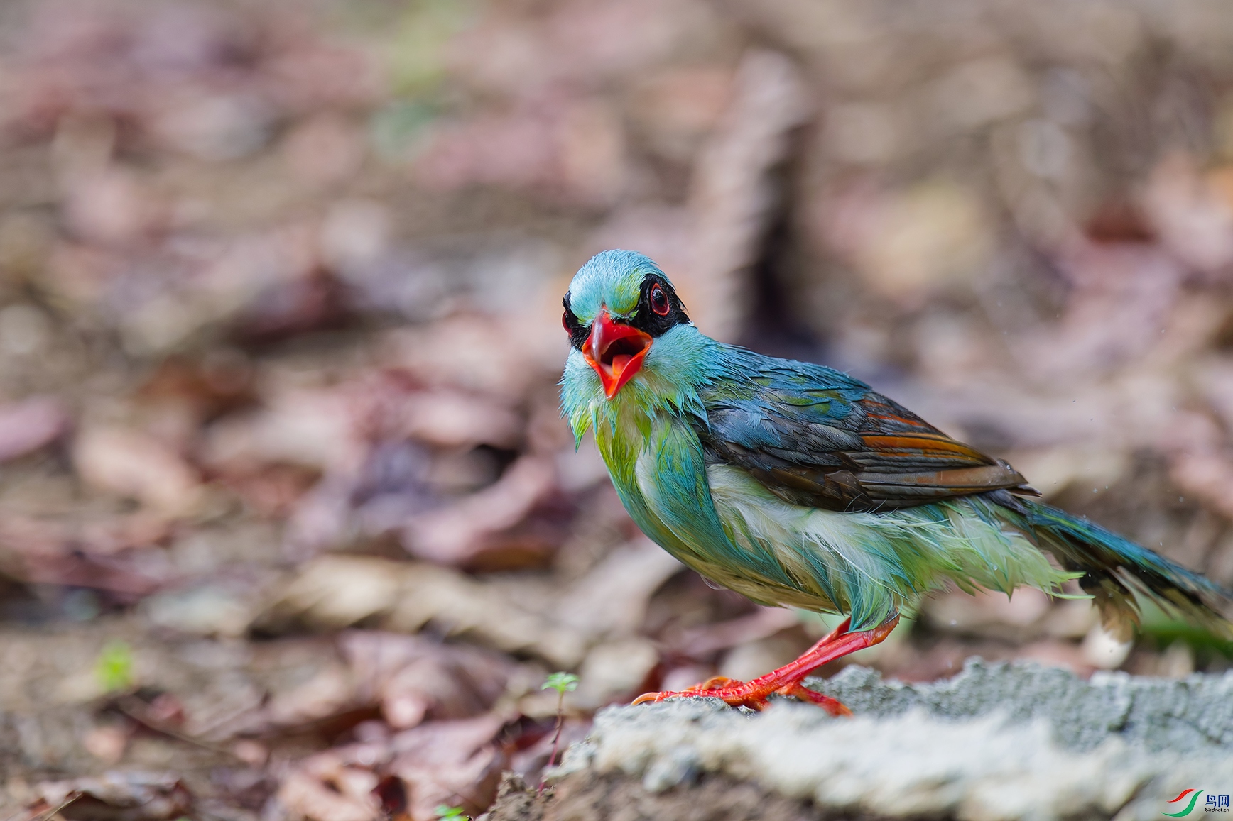 DSC_0114_DxO_DxOa.jpg