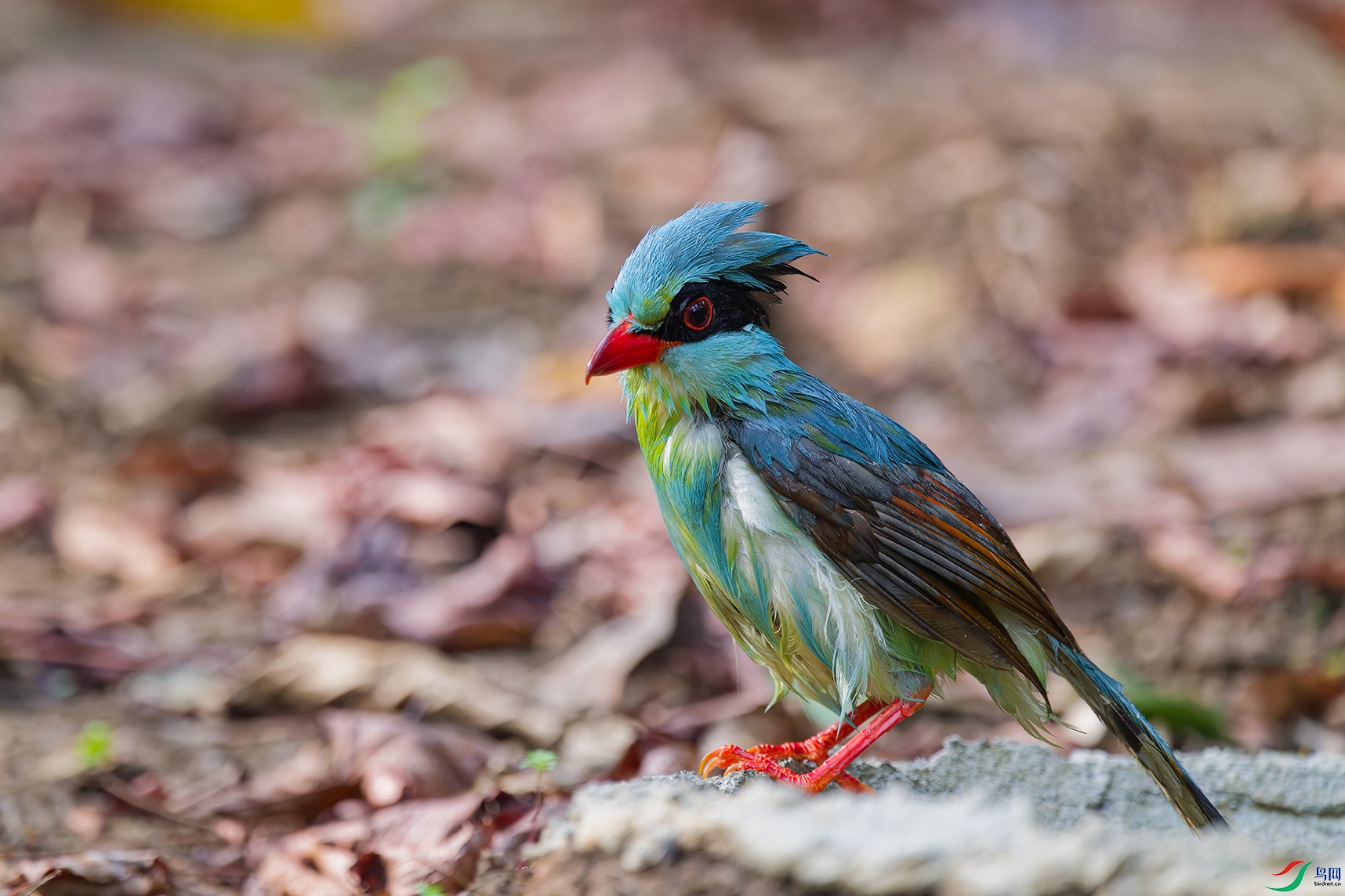 DSC_0054_DxO_DxOa.jpg