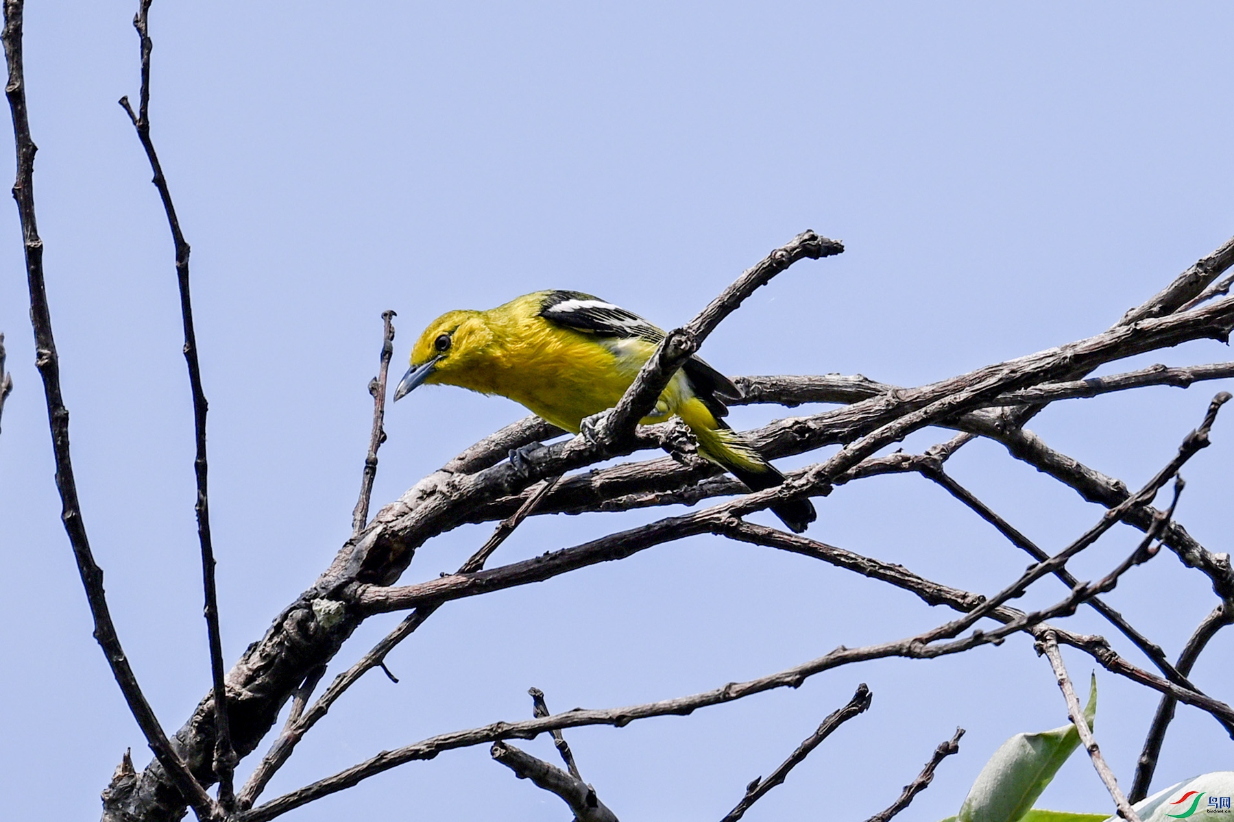 DSC_5864.JPG