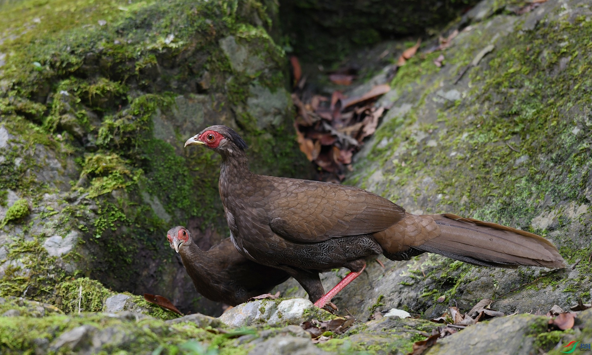 DSC_4052.jpg
