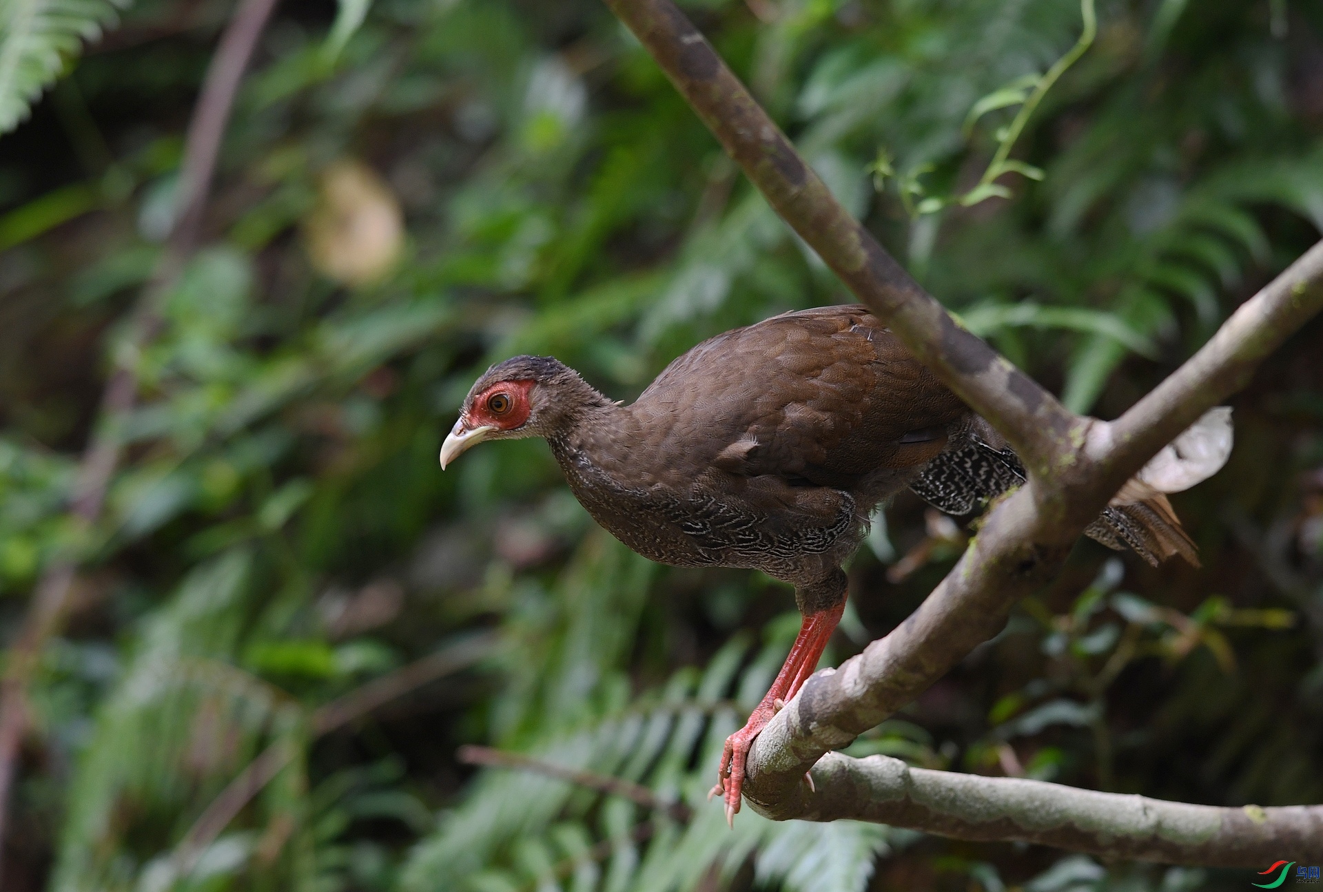 DSC_4064.jpg