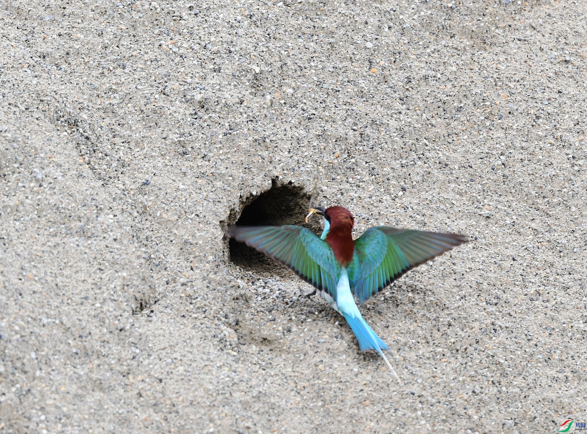 DSC_4053.jpg