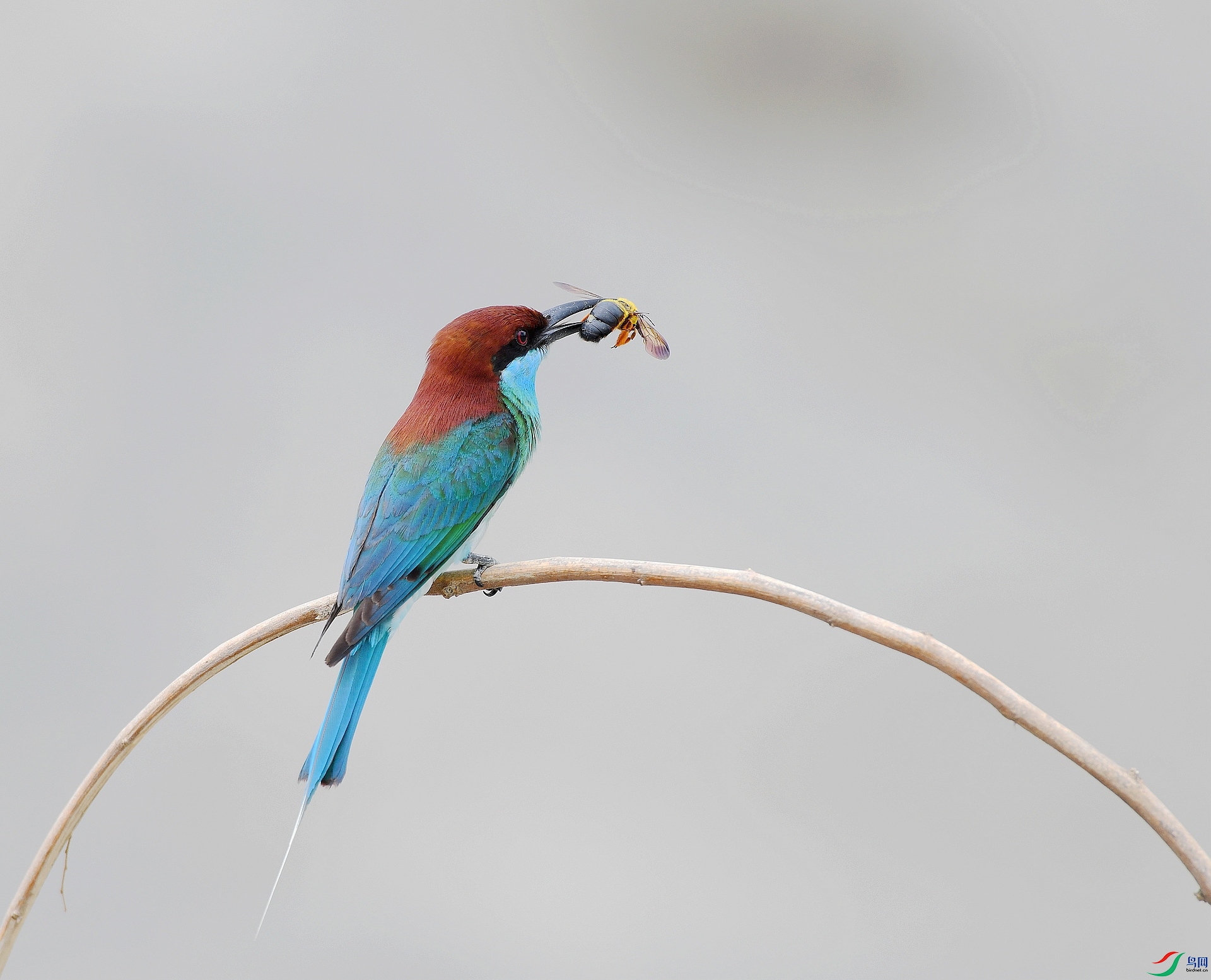 DSC_4054.jpg
