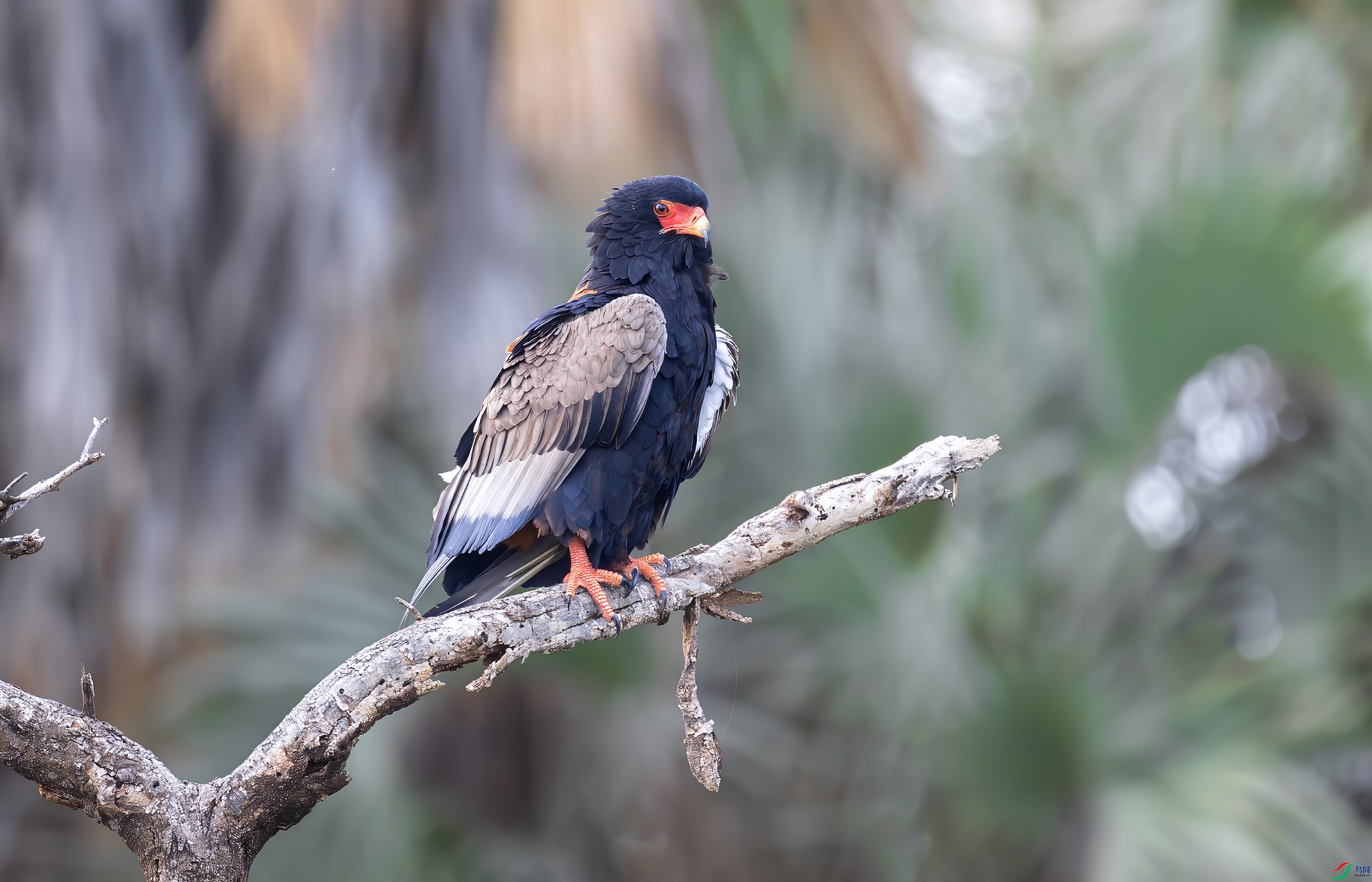 _X0A8015-topaz-denoise.jpeg