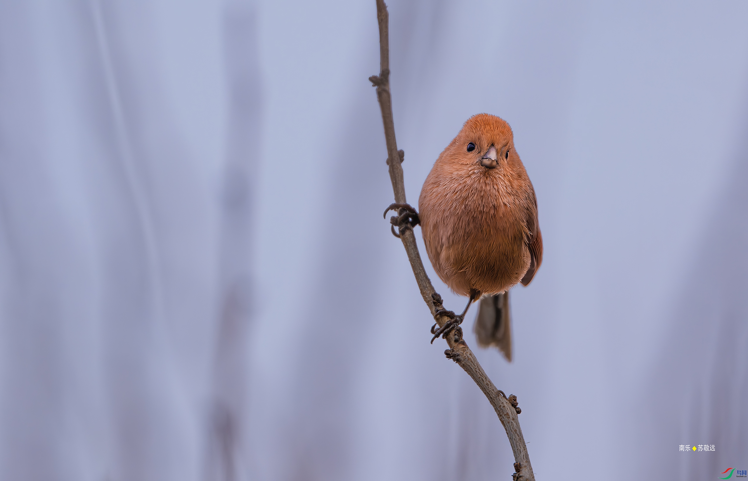 _DSC4606-DxO_С.jpg