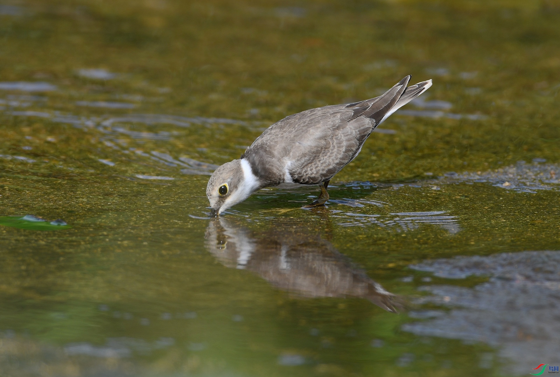 DSC_6047.jpg