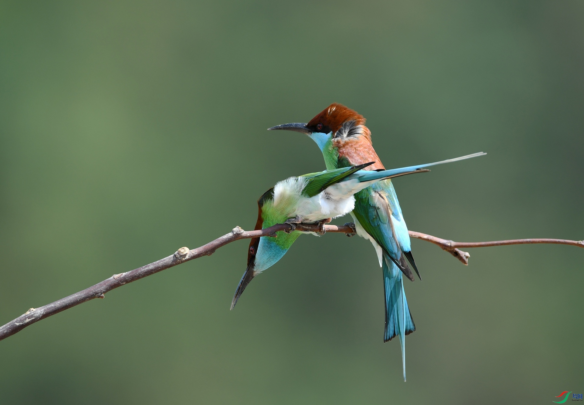 DSC_3739.jpg